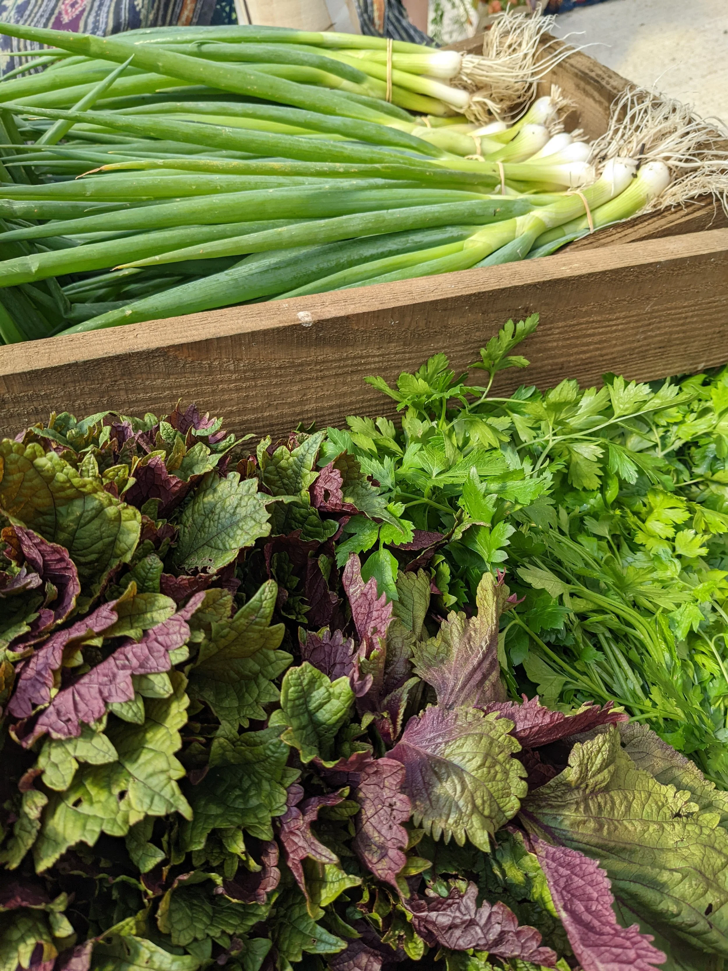 Fresh green onions and assorted leafy herbs displayed in a wooden box at a market.