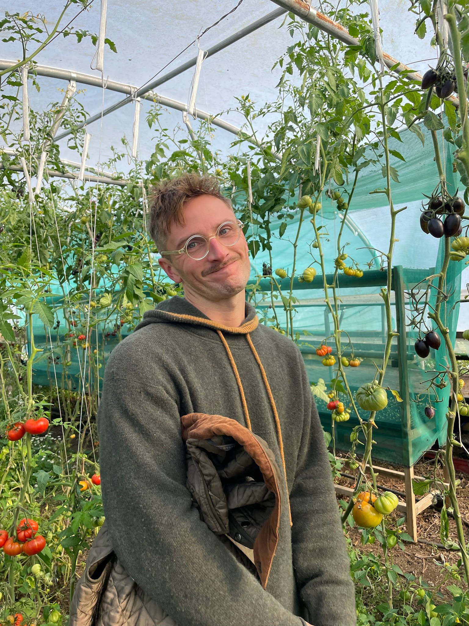 Man in polytunnel with tomatoes
