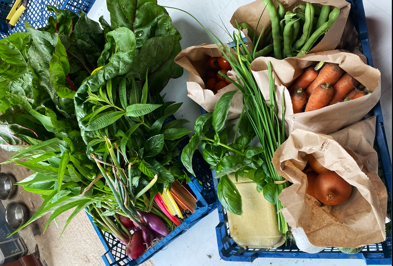 Fresh vegetables including leafy greens, carrots, onions, cherry tomatoes, green beans, yellow squash, and herbs arranged in blue crates with brown paper wrapping.