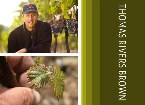 25  100 Point Awards