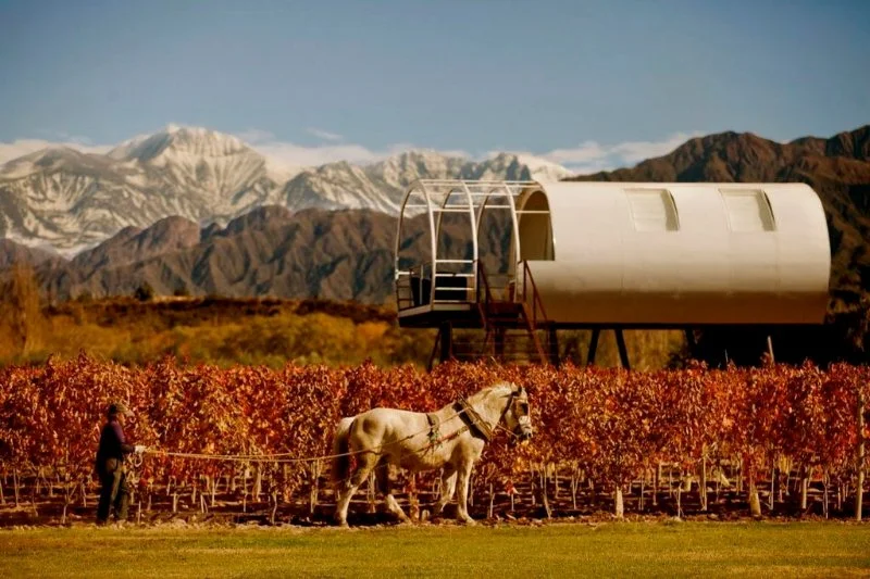 Argentina Wine Hotel