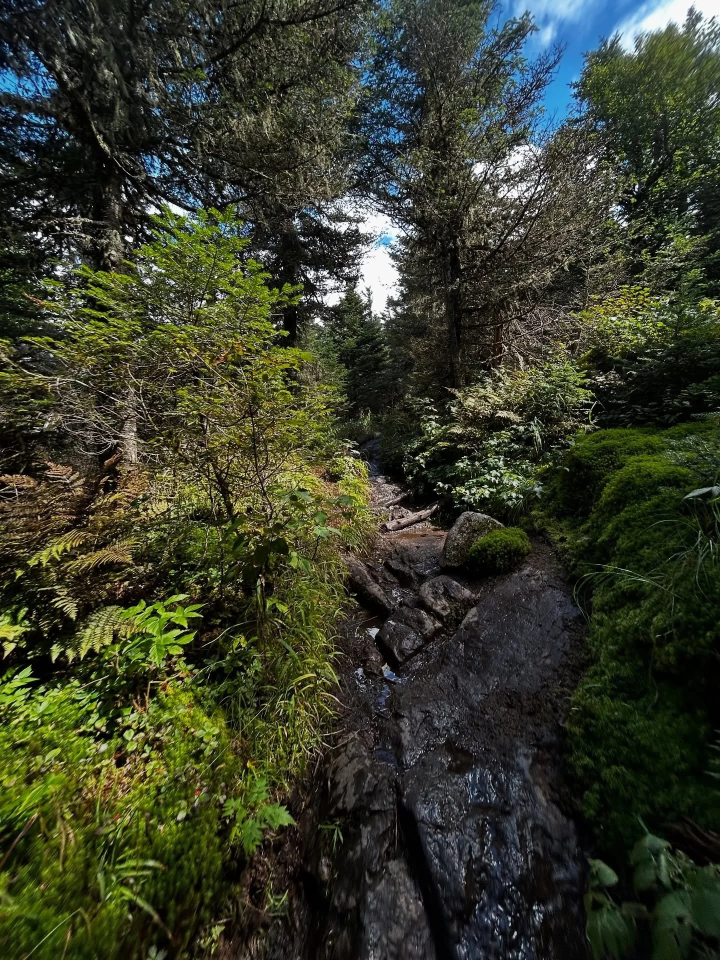 Ok I&rsquo;m done for now