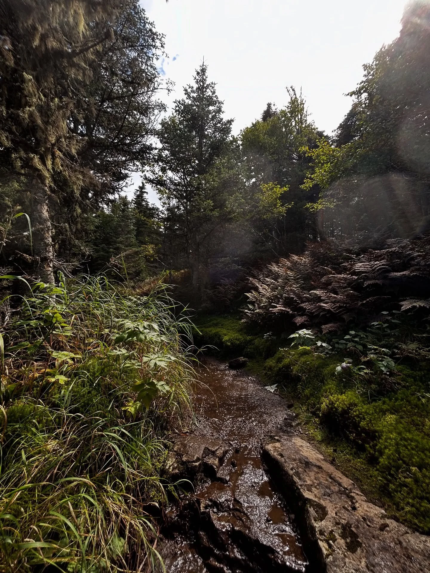 Forgot I have one million more pics from Marcy