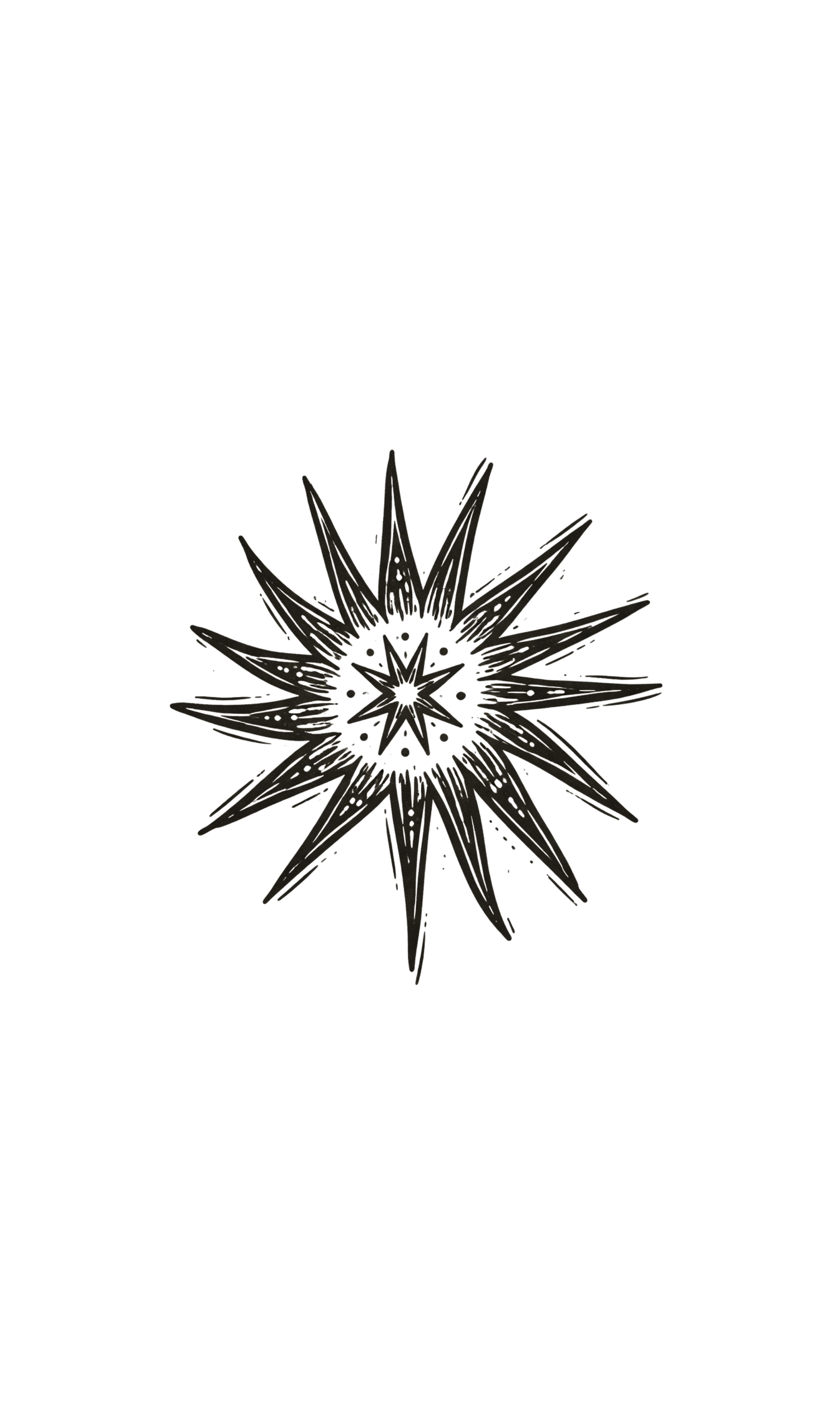 Black and white star-shaped burst ornament with multiple spiked rays, reminiscent of a stylized star or explosion.