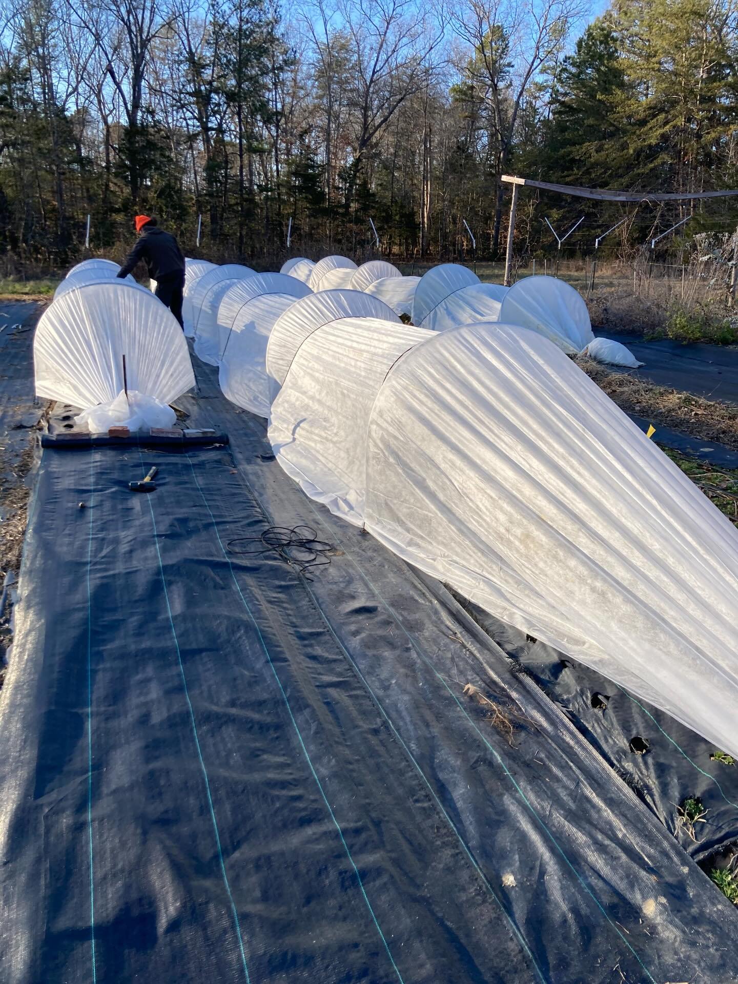 All tucked in for the big cold.