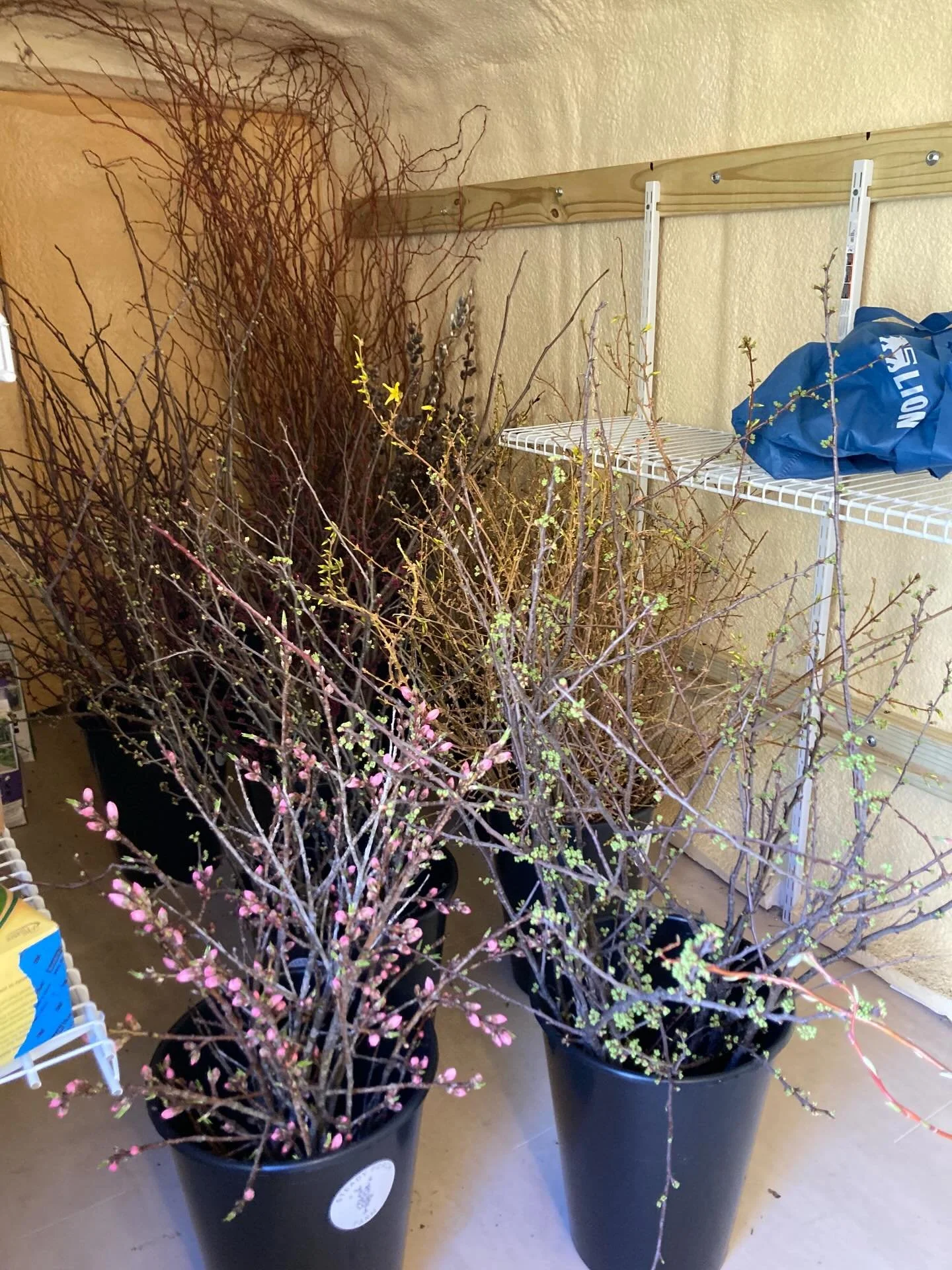 It&rsquo;s fancy stick season on the farm and the cooler is filling up fast!!