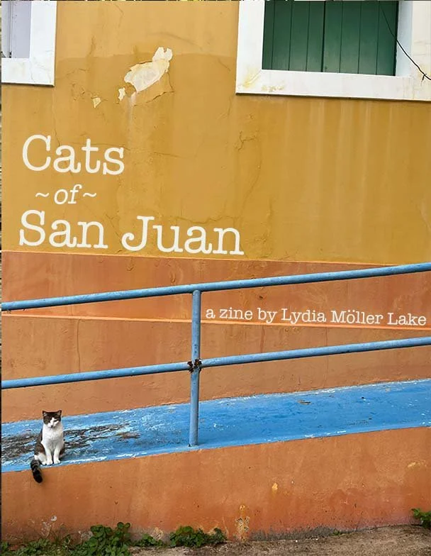 Cats of San Juan // a Zine