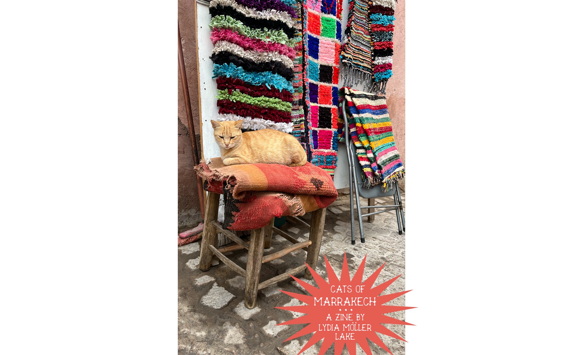 Cats of Marrakech // a Zine