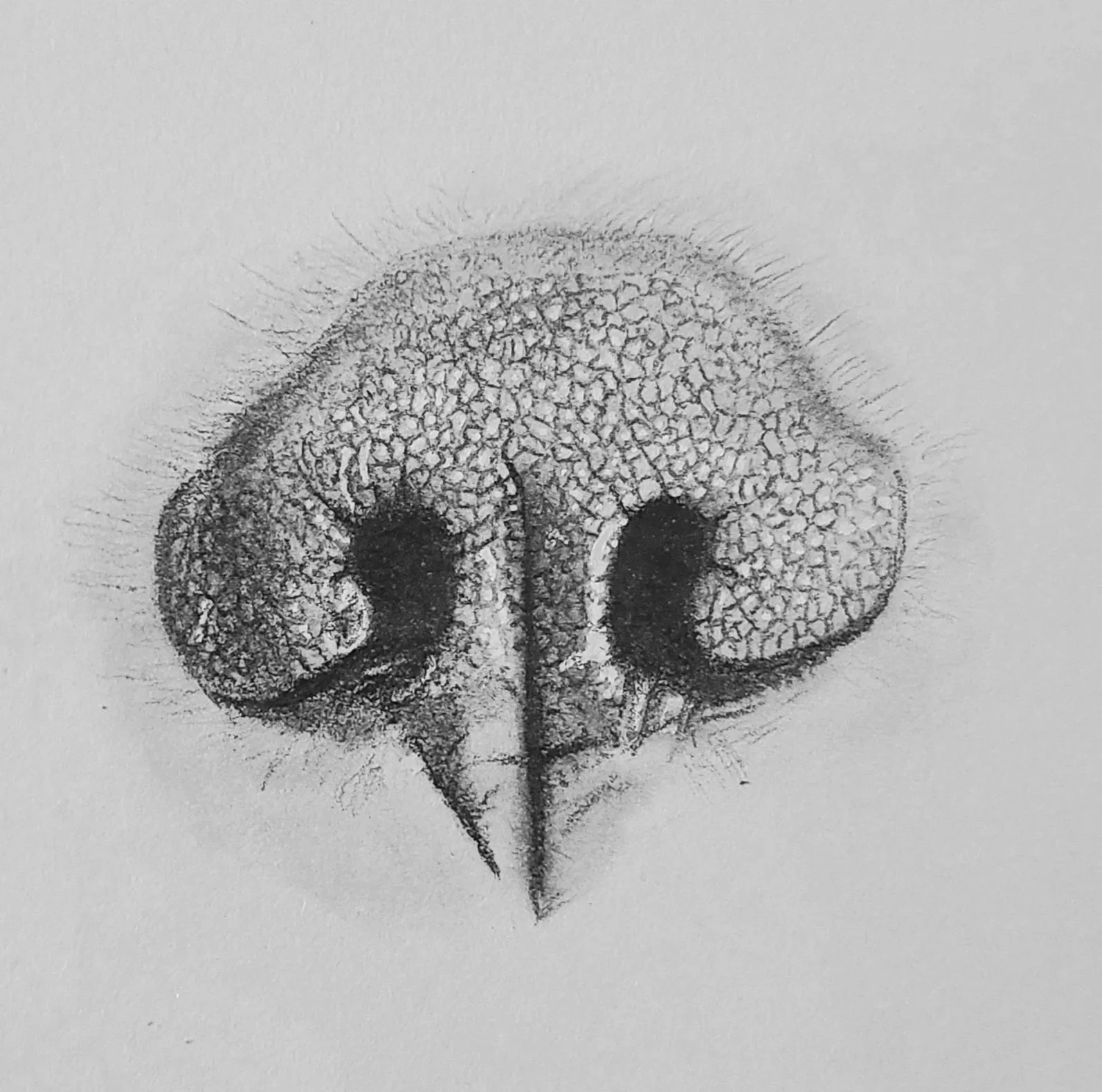 Gary - Graphite, 2024