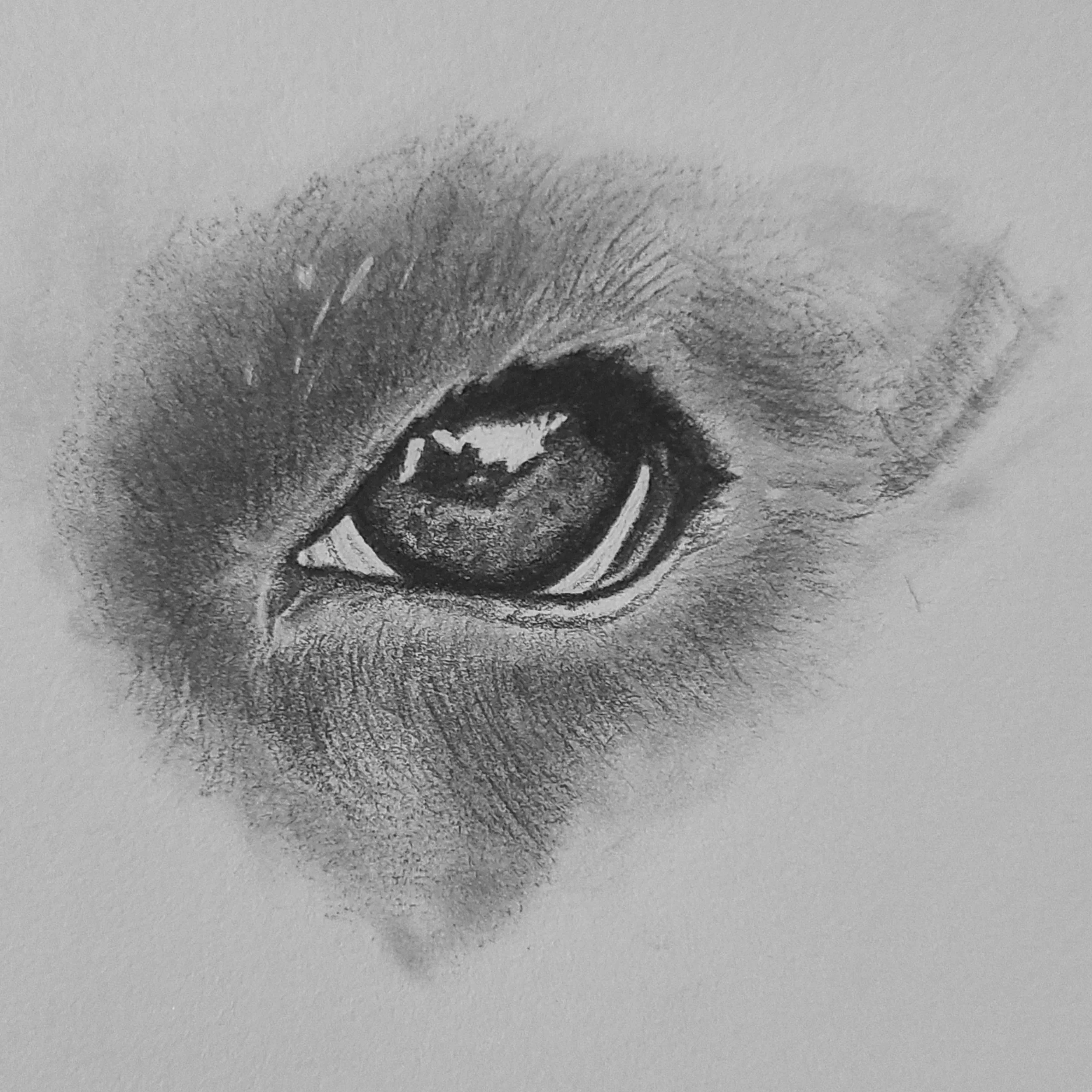 Gary - Graphite, 2024