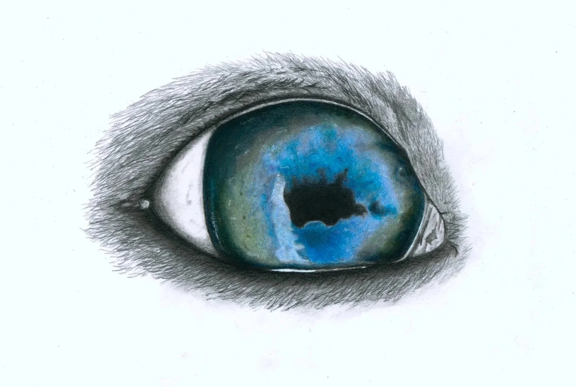 Earl - Graphite, with Colour Pop, 2025