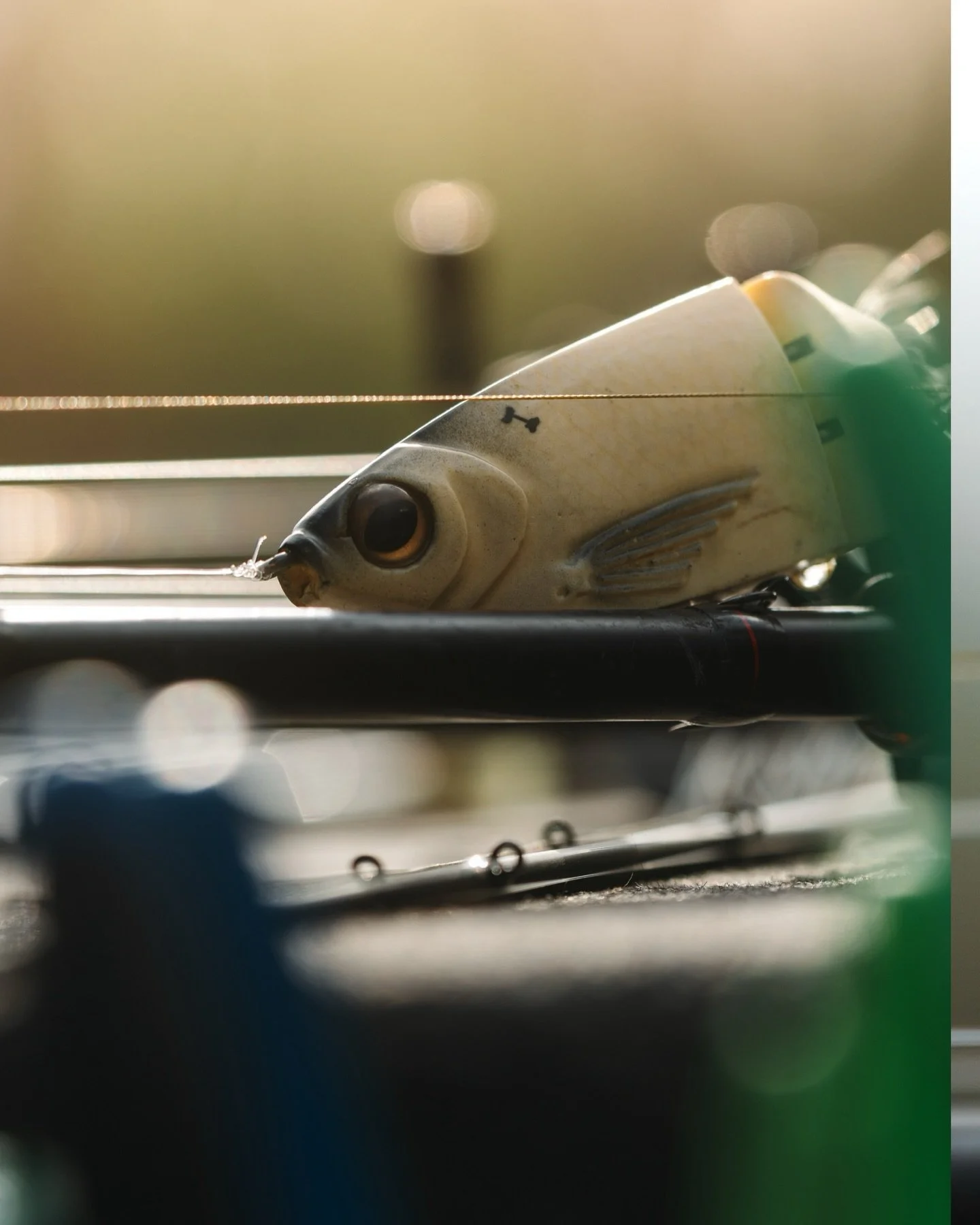 KGB✖️Spro🔥
&bull; These Chad Shads flat out get bit and are so much fun to fish. You&rsquo;ll get the follows but just keep choppin&rsquo; and eventually you&rsquo;ll get crushed. Bigs and littles. 😂 So much fun. 
📸: @scootdaddyangling