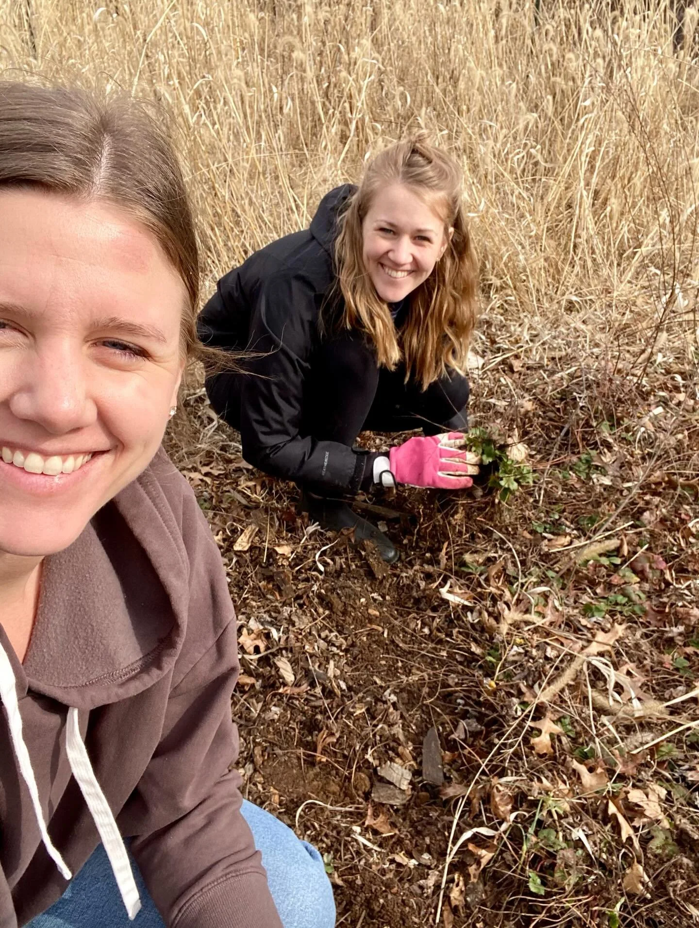 Hi from the faces behind The Greenhouse 👋🏻

We are sisters-in-law who share a love for gardening and growing our favorite varieties from seed. We&rsquo;ve spent years sharing seeds, seedlings, and harvests with our family and friends and are gratef