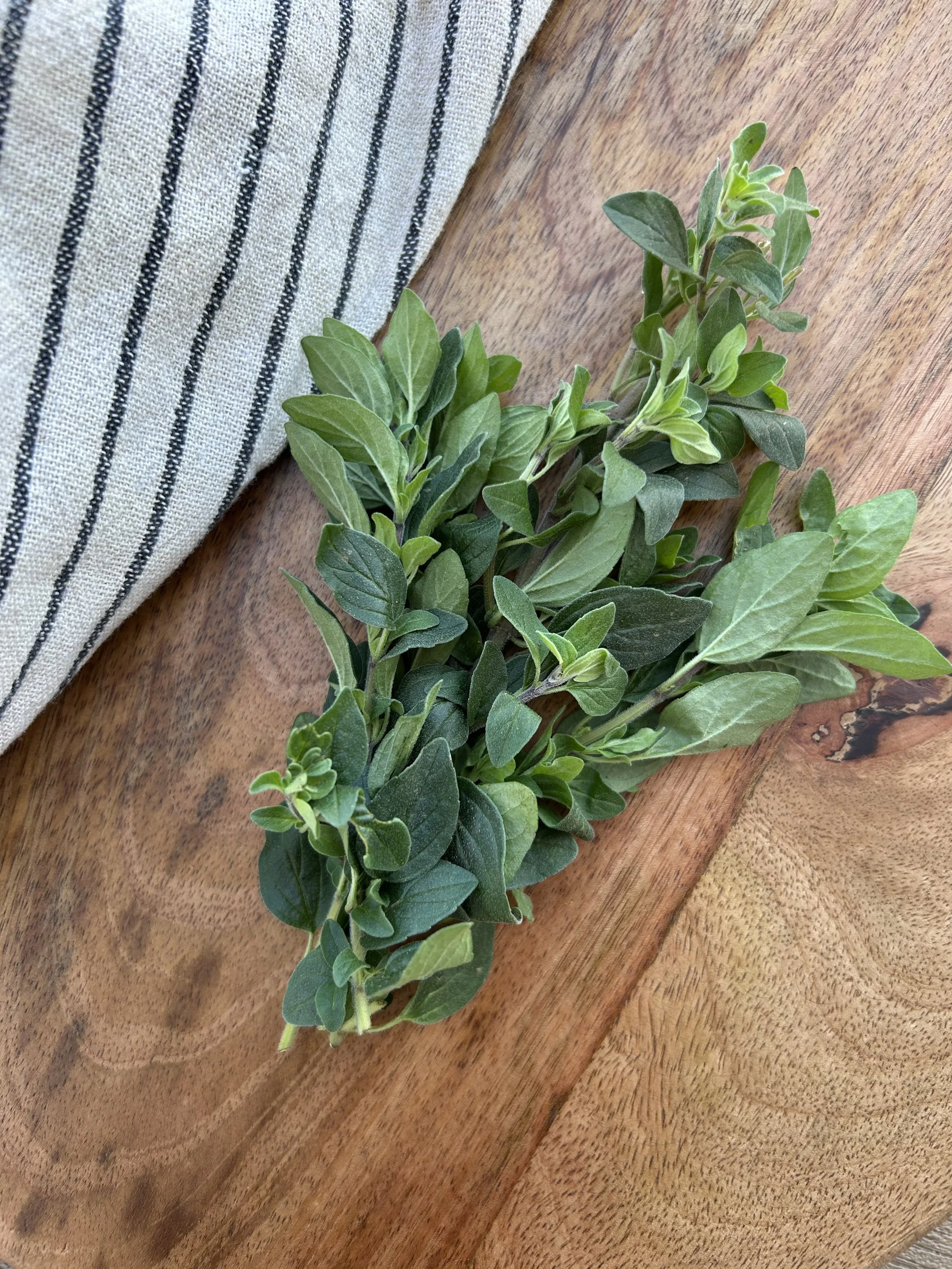 Oregano | Greek
