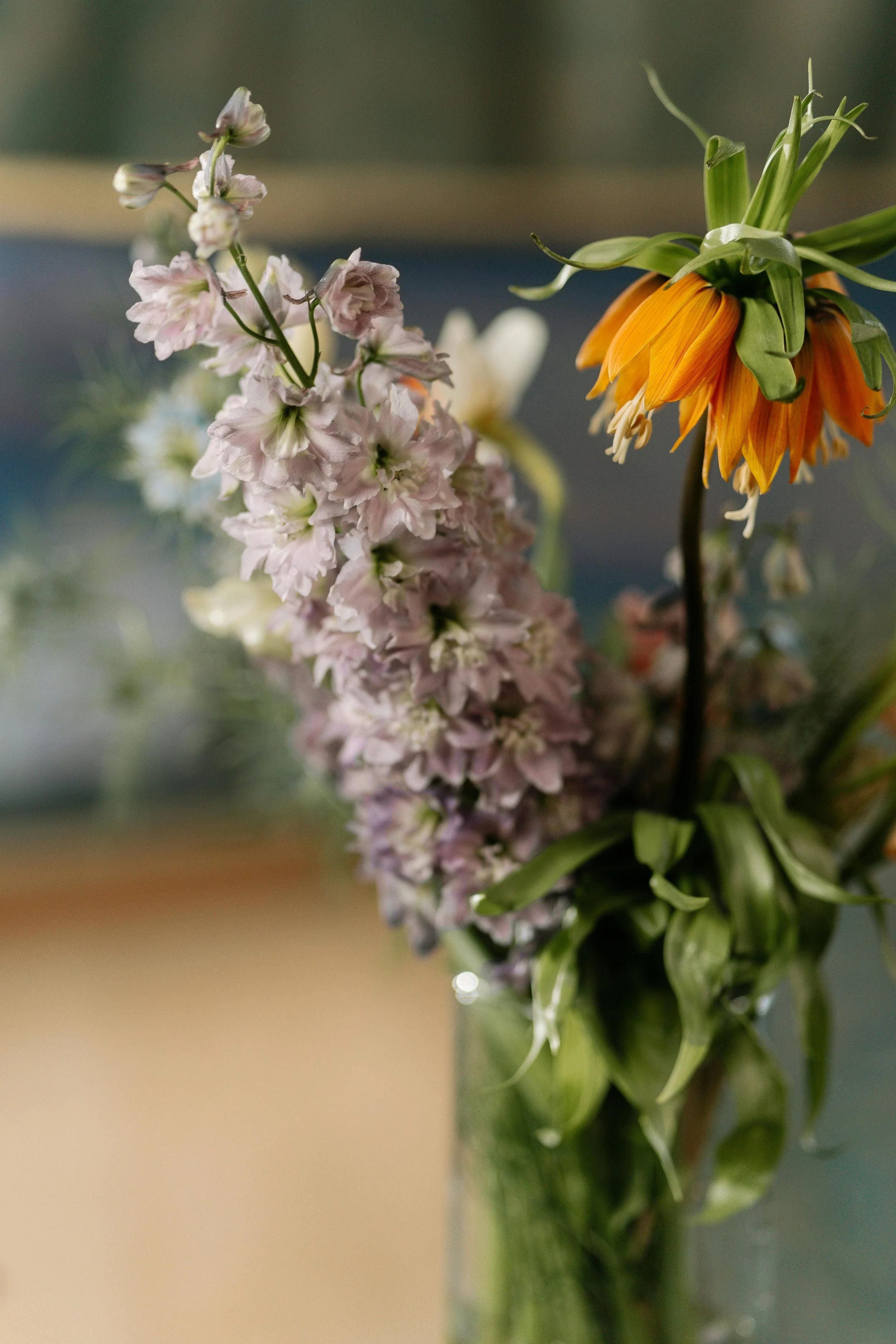 Delphinium | Magic Fountains Cherry Blossom White Bee