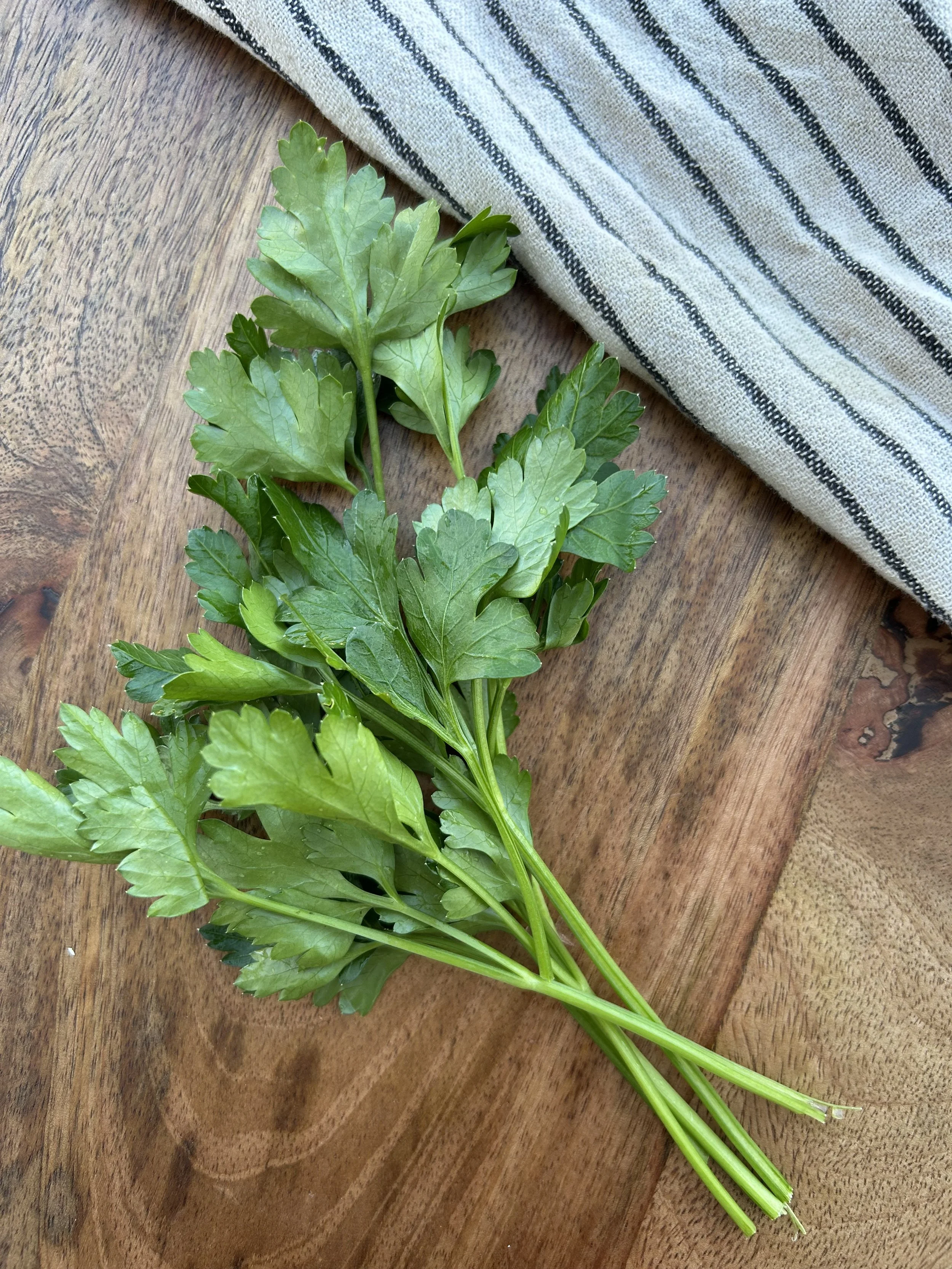Parsley | Italian