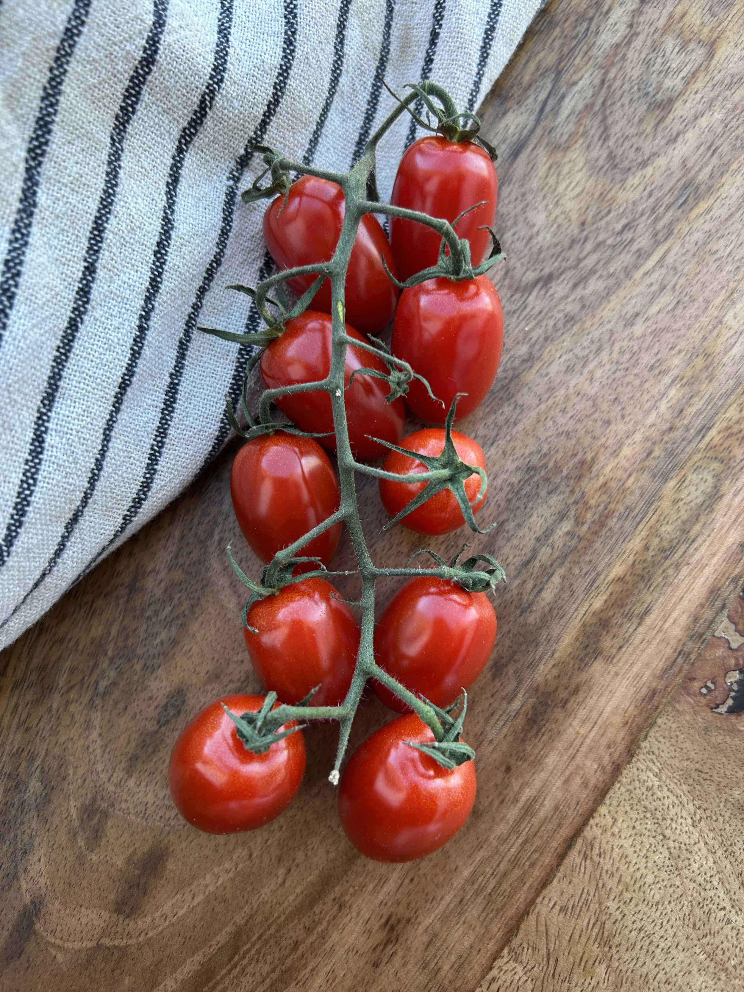 Tomato | Small Red Cherry