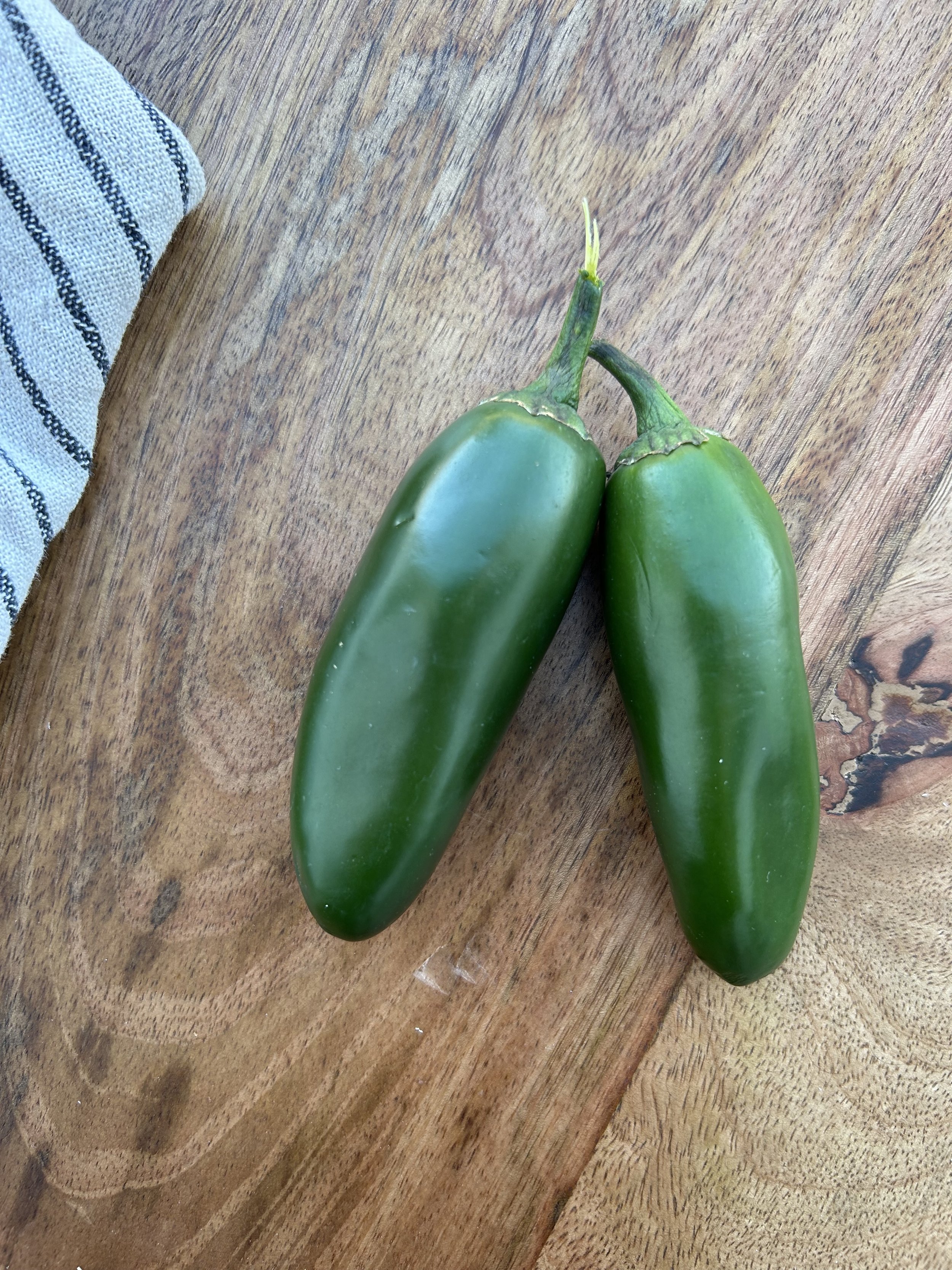 Jalapeño Chile Pepper