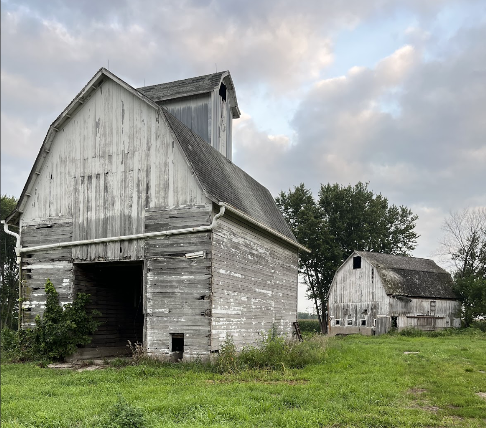 Two old weathered barns on a grassy field with trees and cloudy sky in the background.