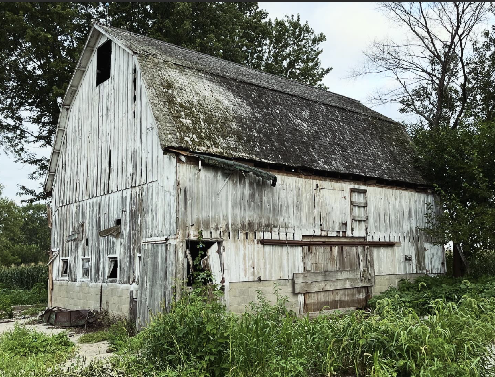 Old, weathered barn with peeling paint, boarded windows, and overgrown grass surrounding it, set in a rural area with trees in the background.
