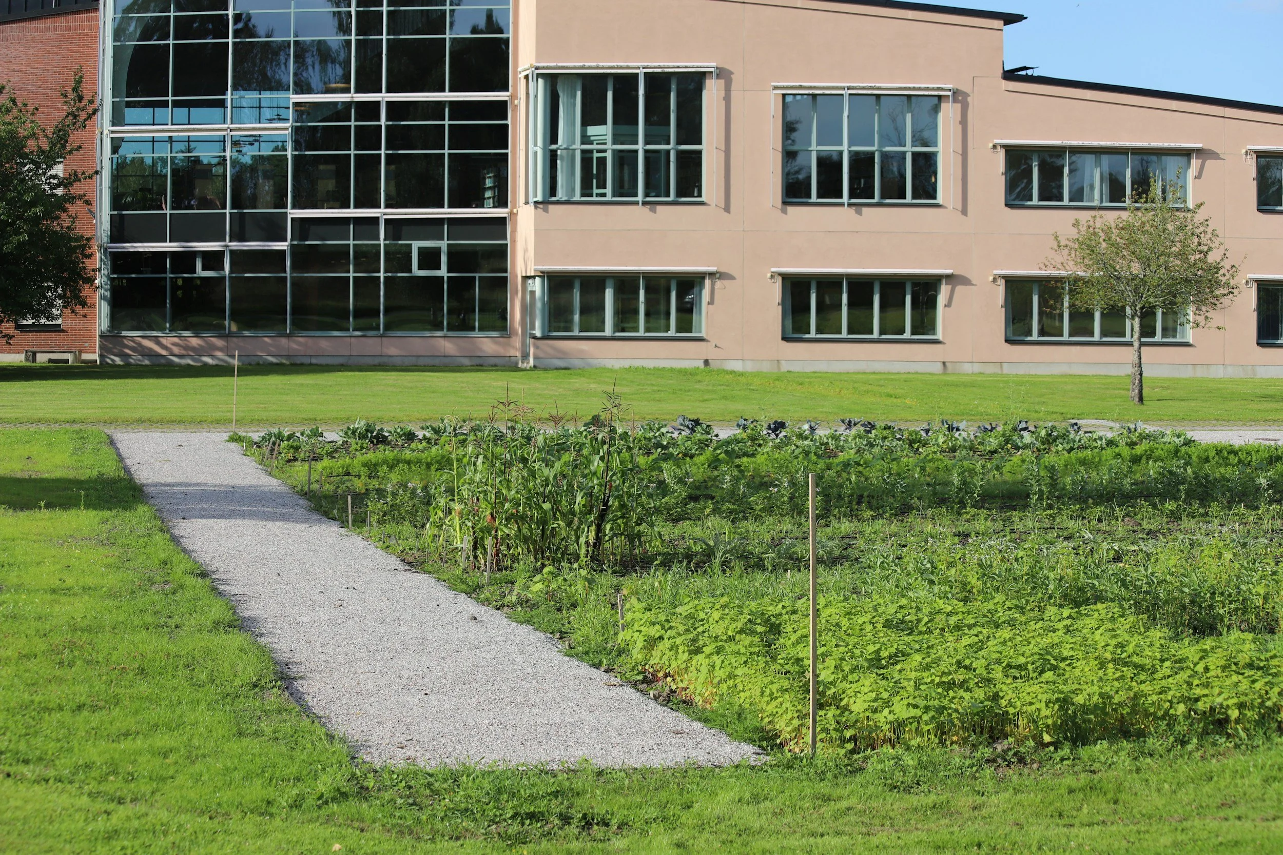 Cultivating Change: How Edmonton Is Growing Urban Agriculture