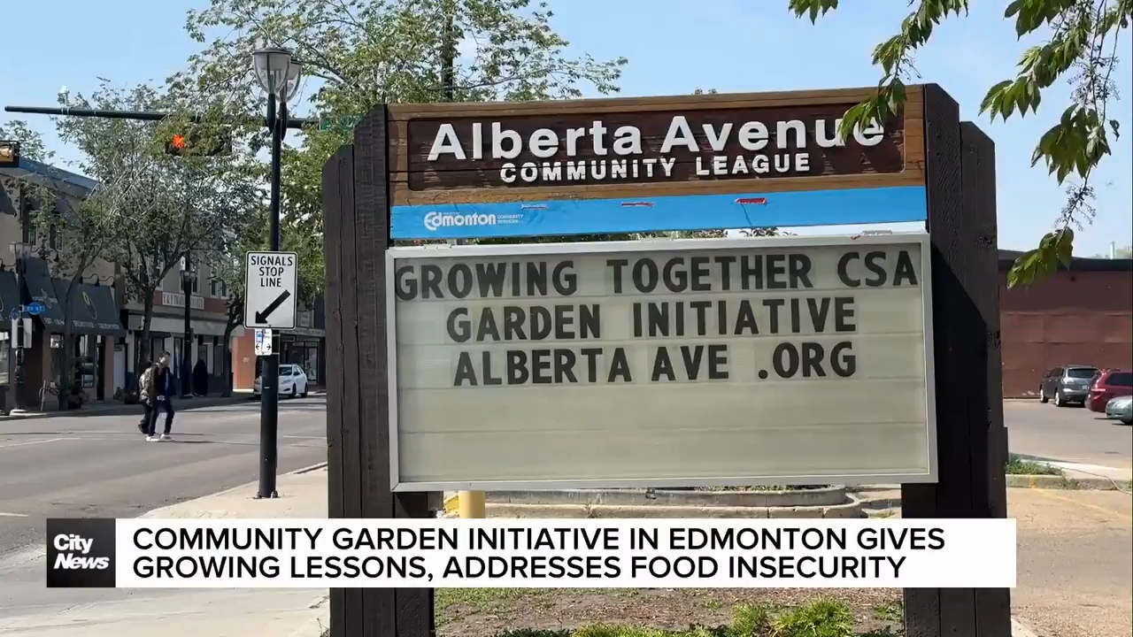 Small Grants, Big Impact: Advancing Food Justice Through Community-Led Action