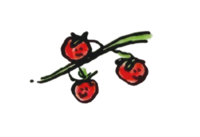 A drawing of three smiling tomatos on a green stem.