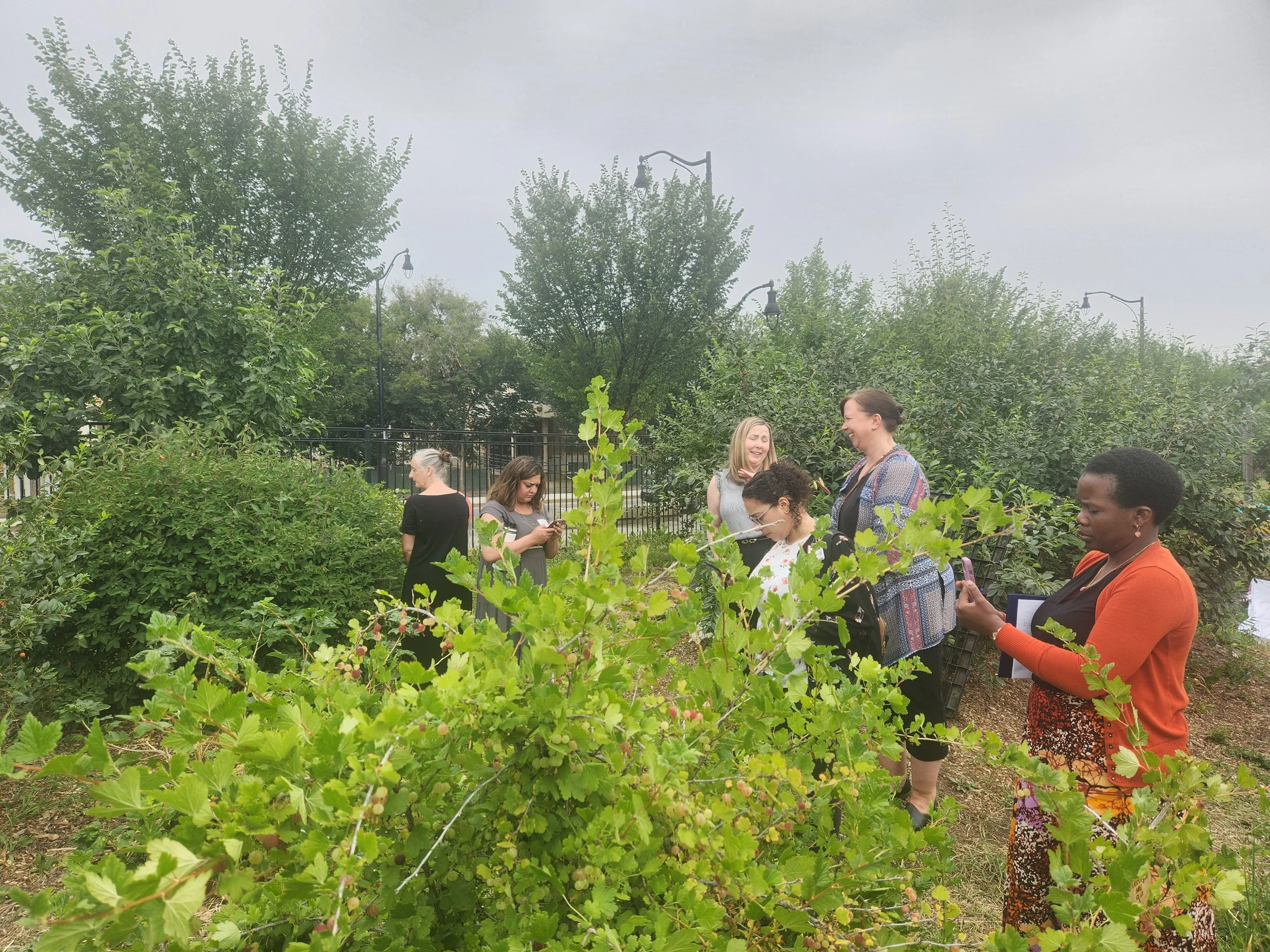 Group of women standing among green bushes in a garden or park, some talking, one taking a photo, in daytime with overcast sky.