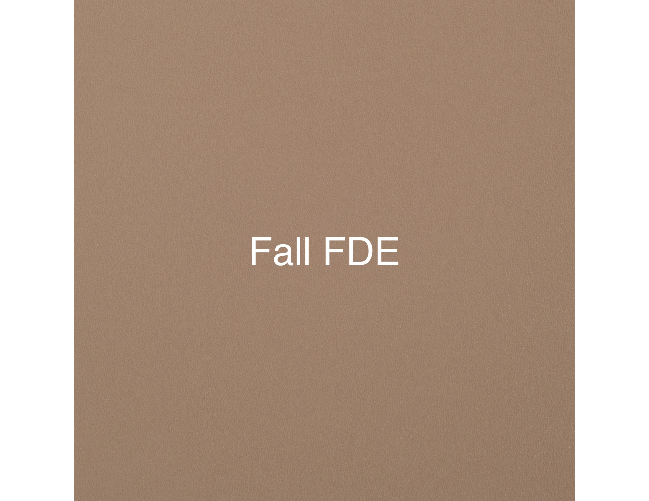 Fall+FDE.png