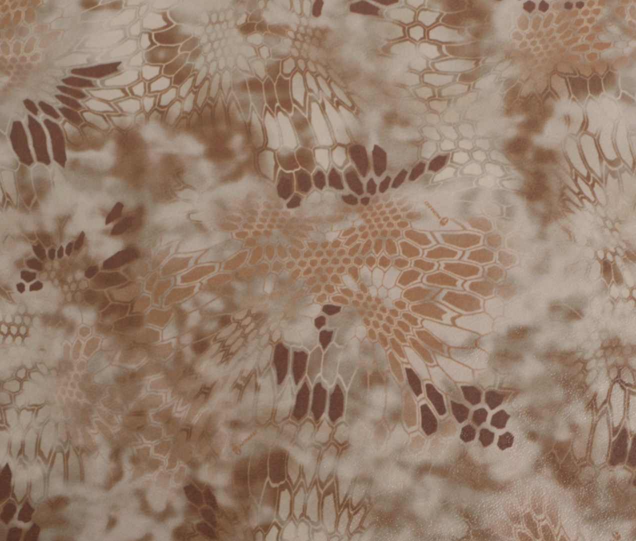 Image 6-7-26 at 5.45 PM.png