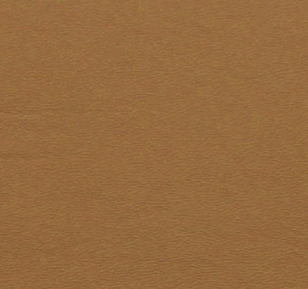 Image 4-5-26 at 1.20 PM.png