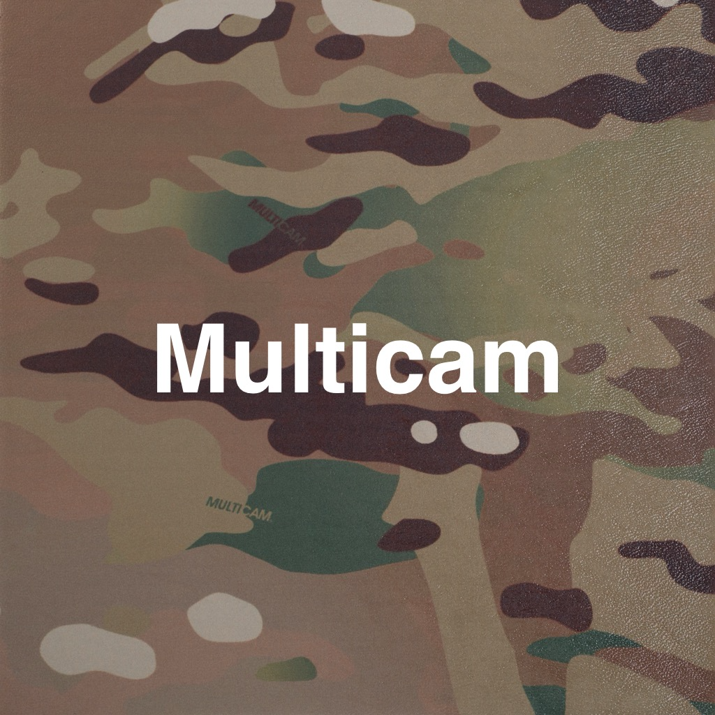 multicam.png