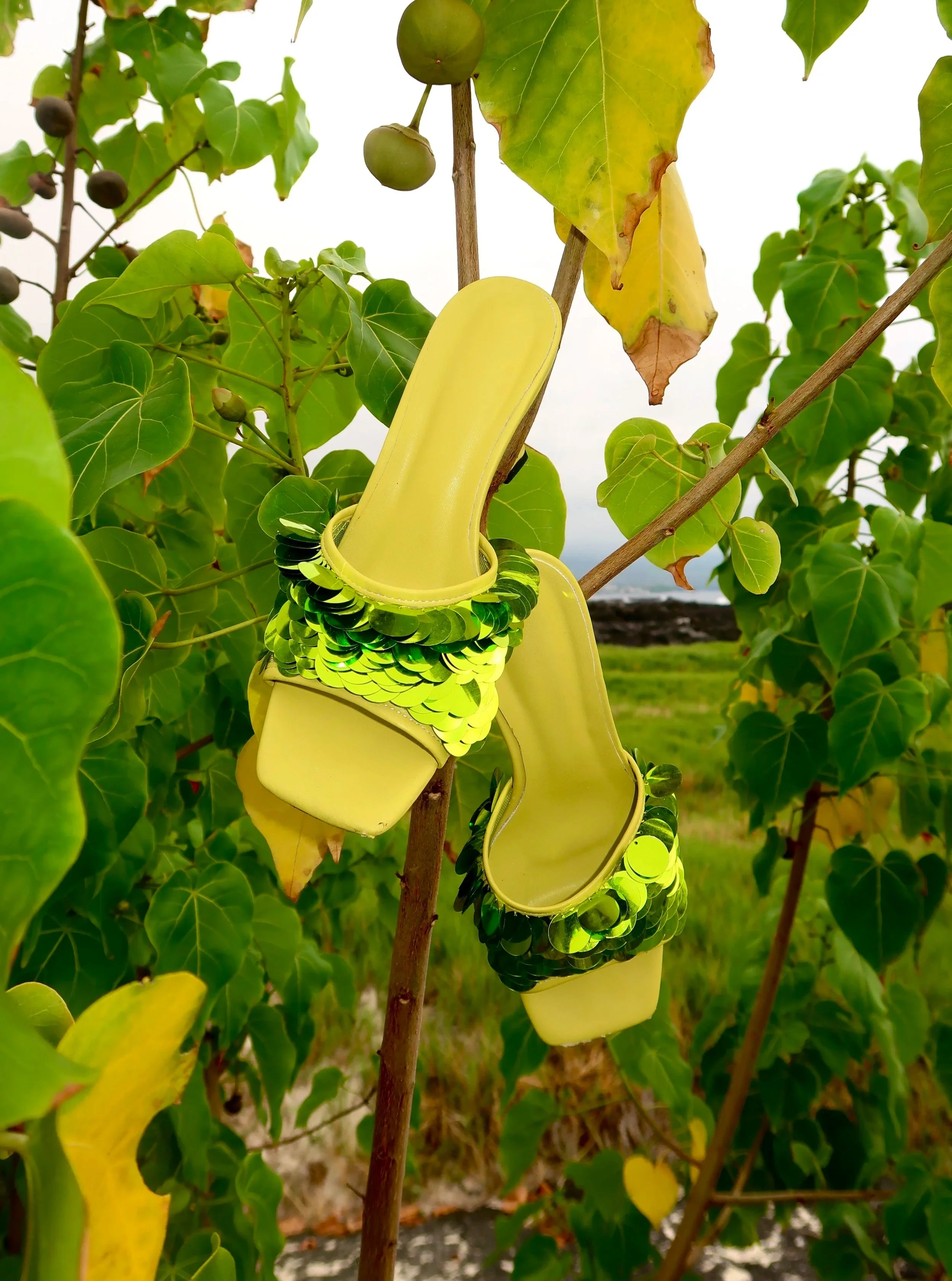 A pair of yellow sandals adorned with green sequins hanging on a tree branch among green leaves in a natural outdoor setting.