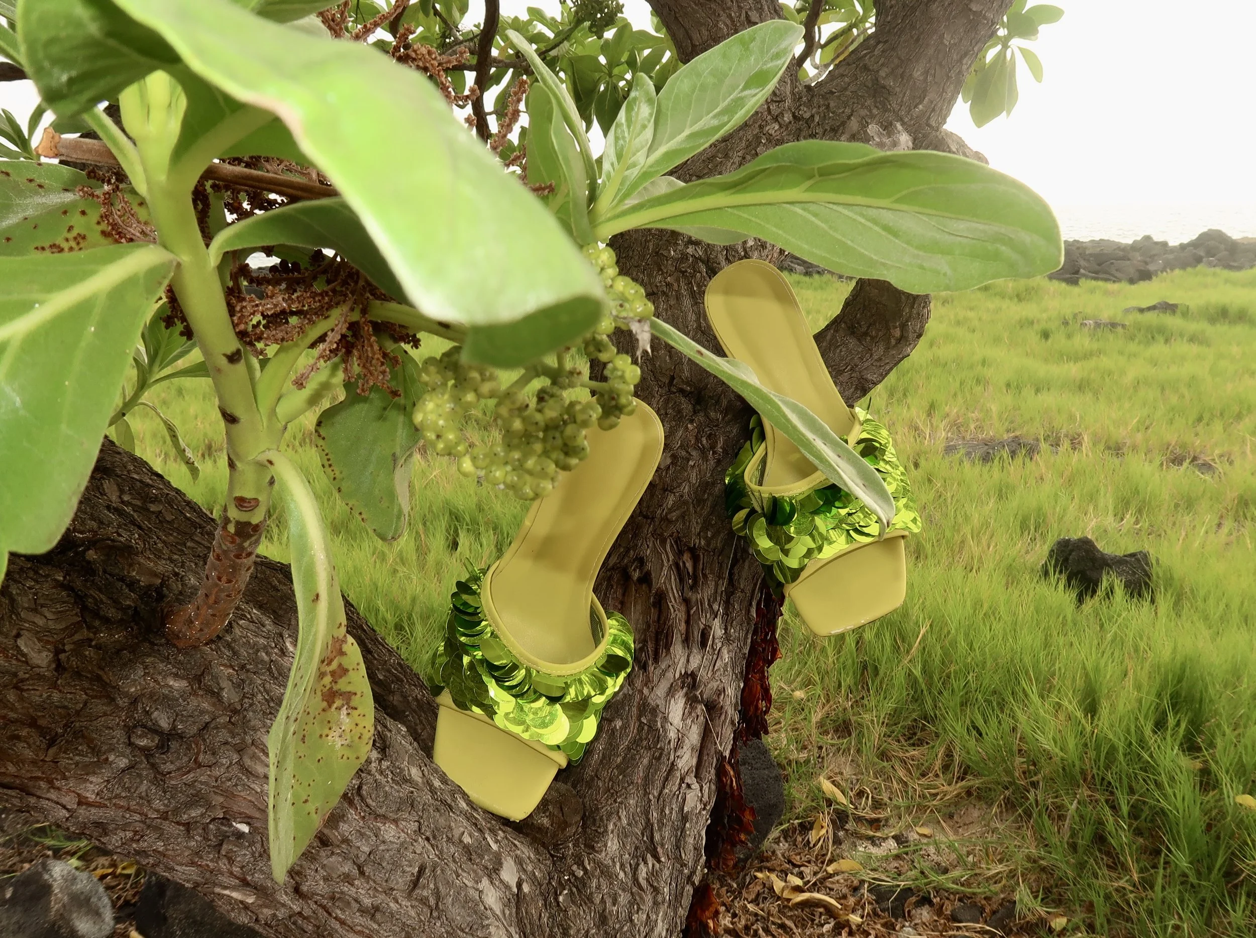 Yellow plastic high-heeled shoes with green sequined embellishments hanging from the branches of a tree in a grassy landscape.