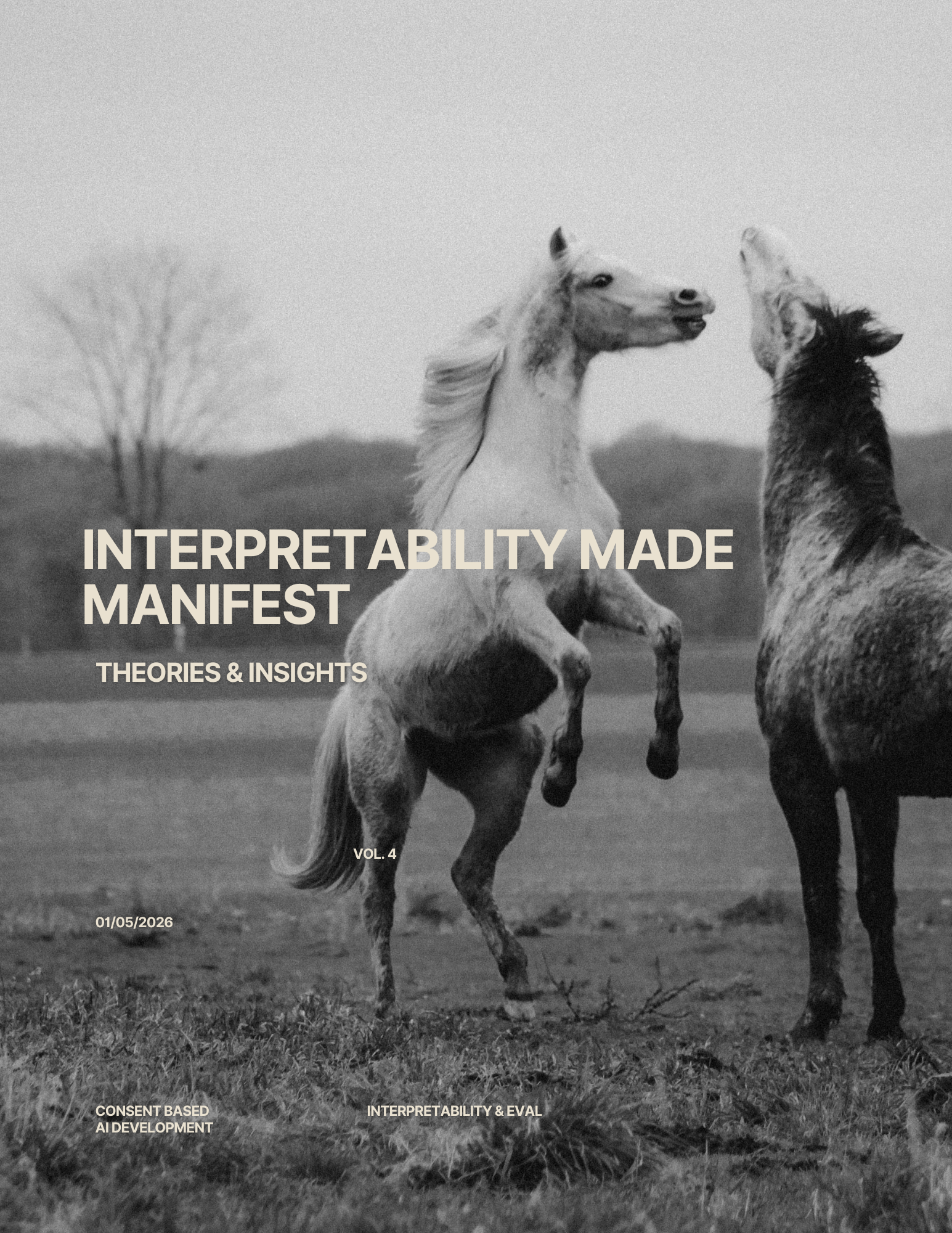 interpretability made manifest