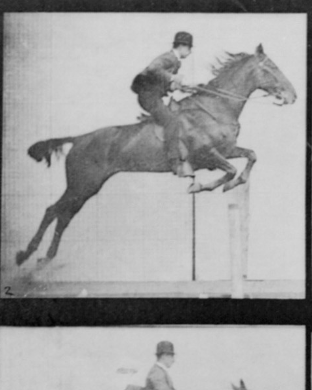 Colorful neon-lit unicorn with a flowing mane and tail, surrounded by swirling glowing trails and a starry night sky with aurora borealis