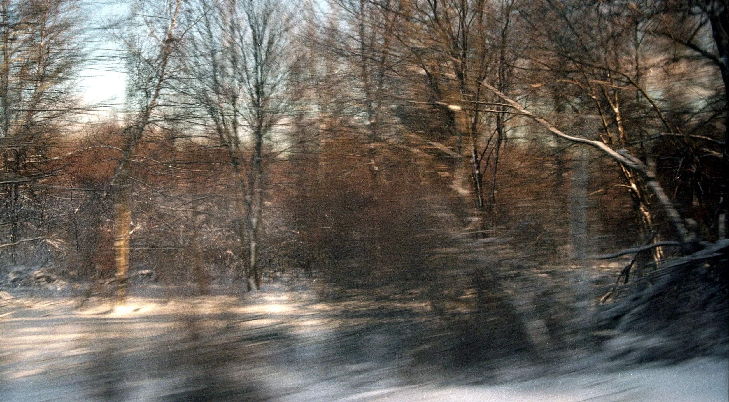 Forest Snow From Train 5