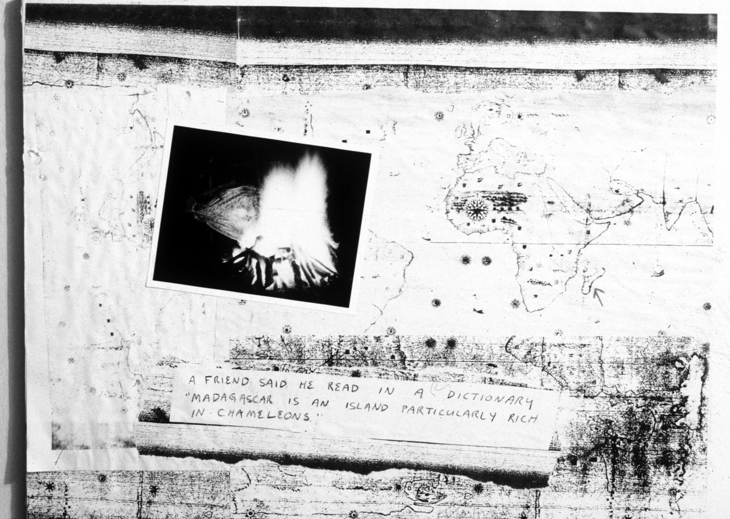 Stokker Sticker Panel - Detail 2