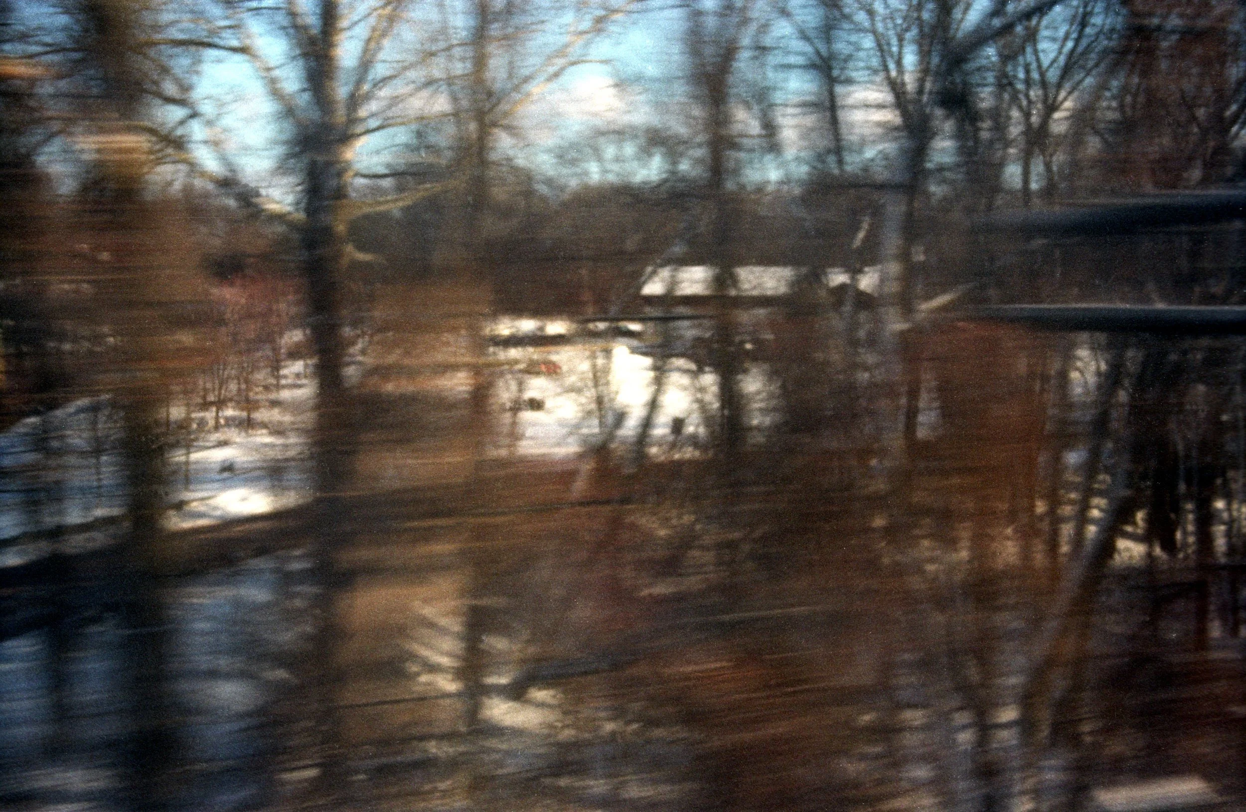 Forest Snow From Train 6