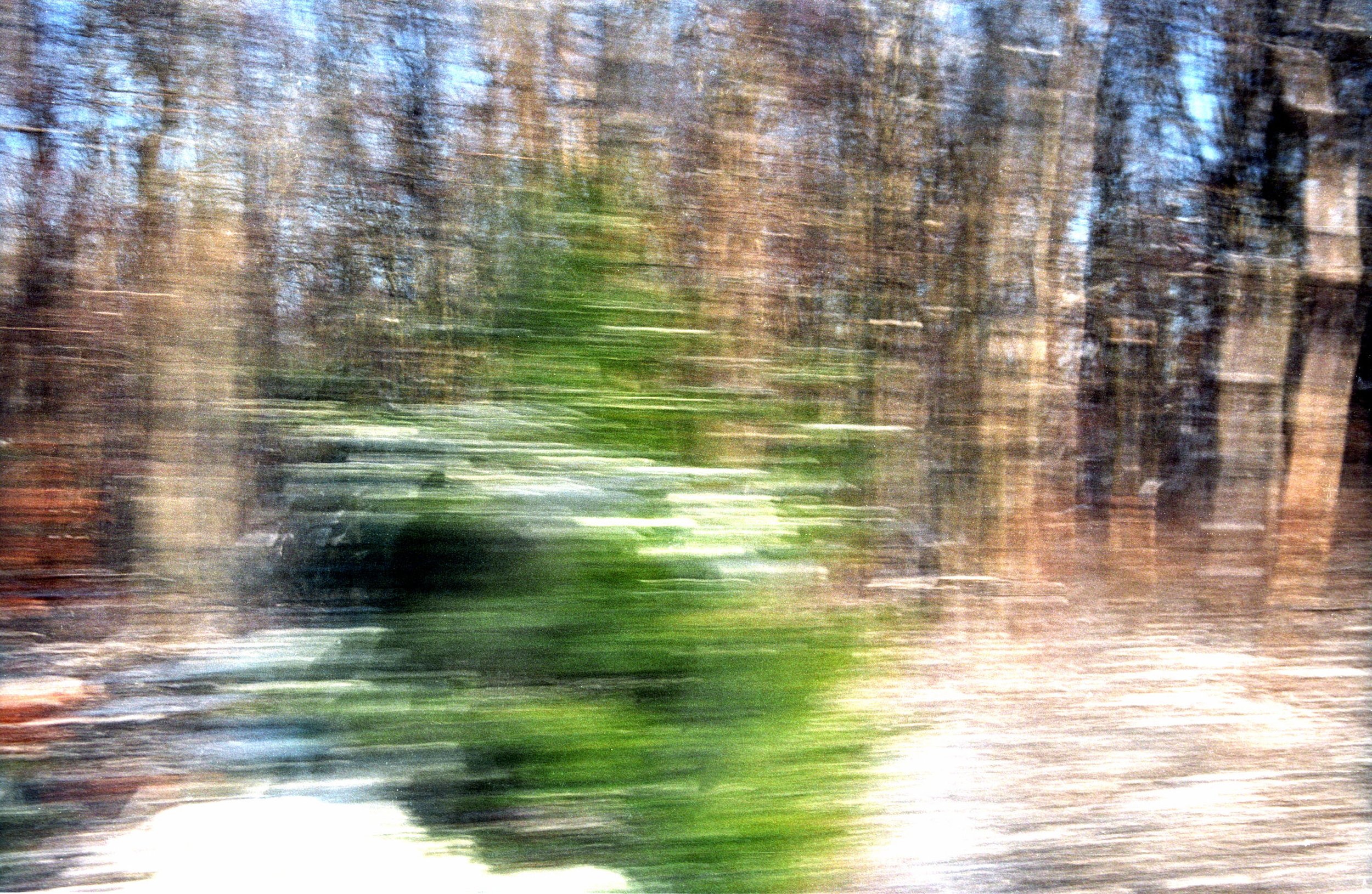 Forest Snow From Train 2
