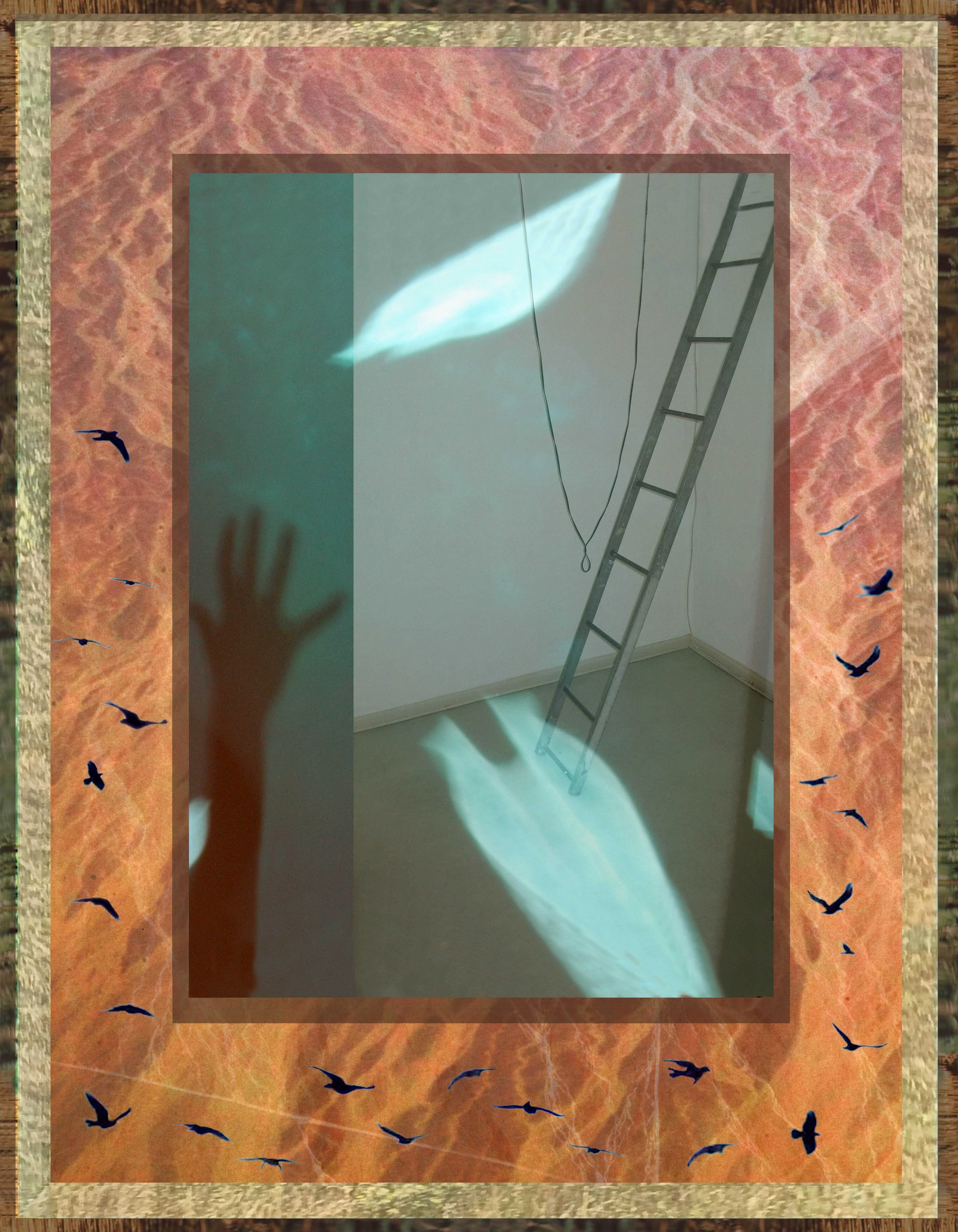 And The Lies We Tell