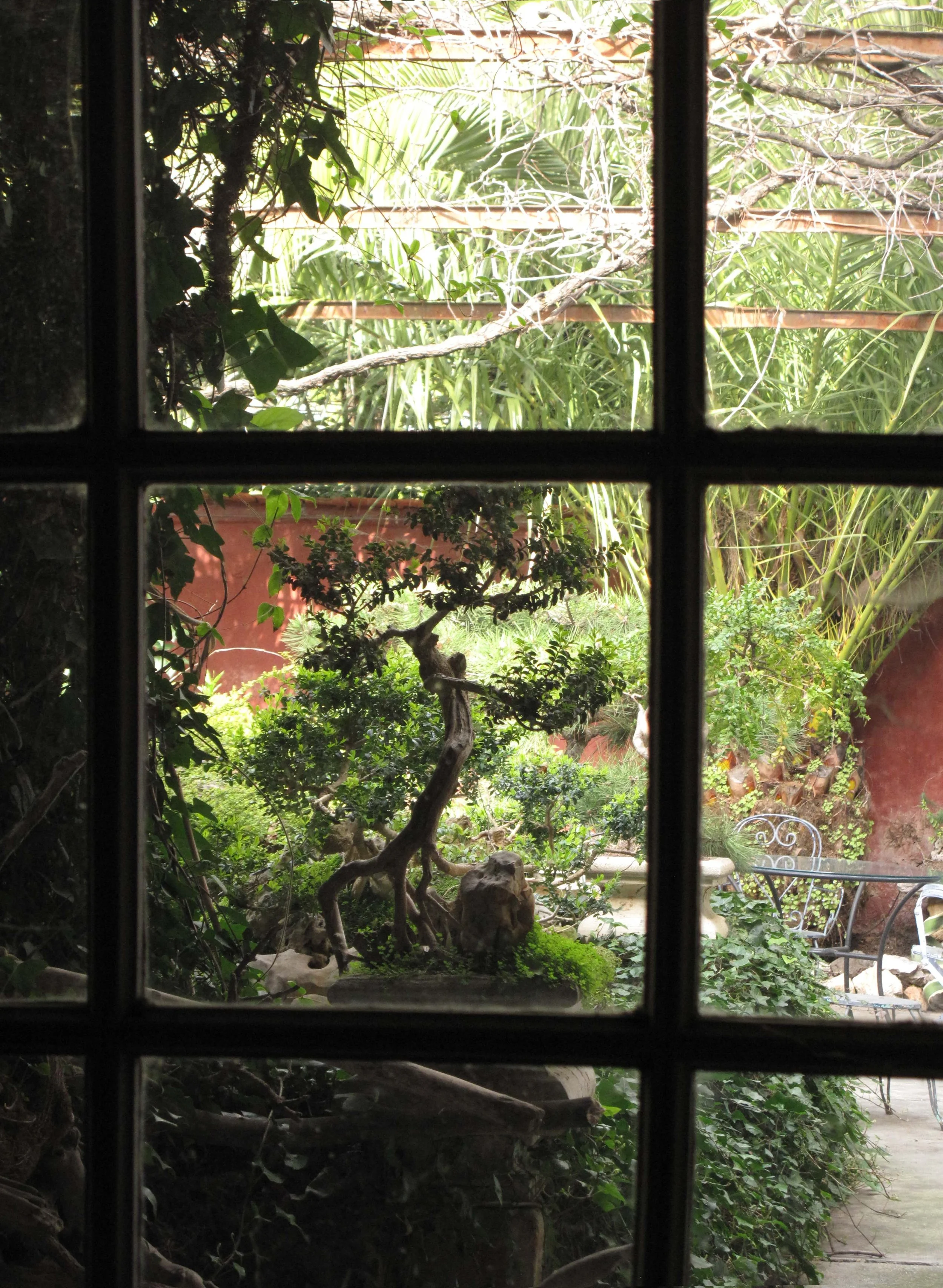 Garden Through Window