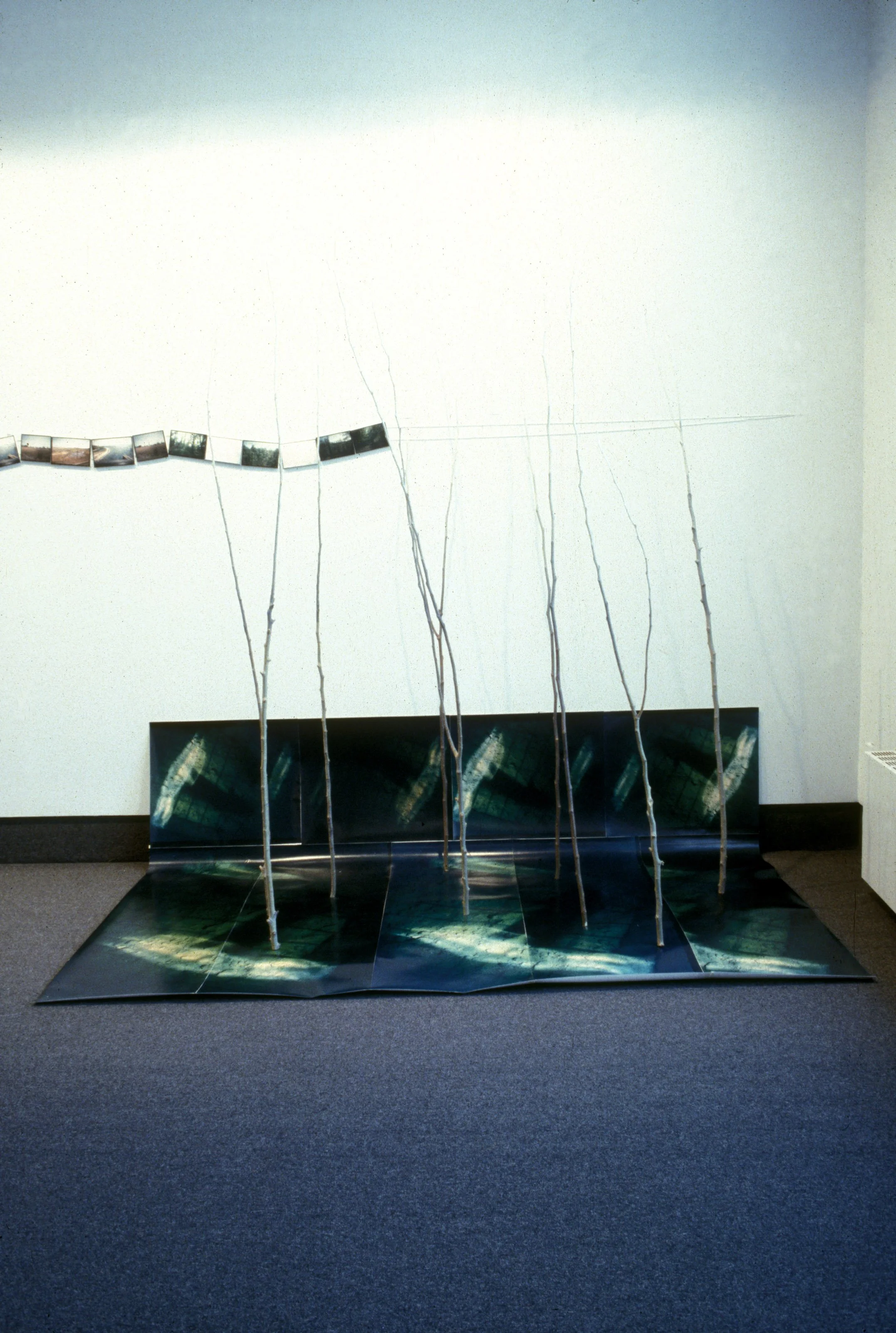 Department of Cultural Affairs Installation 4