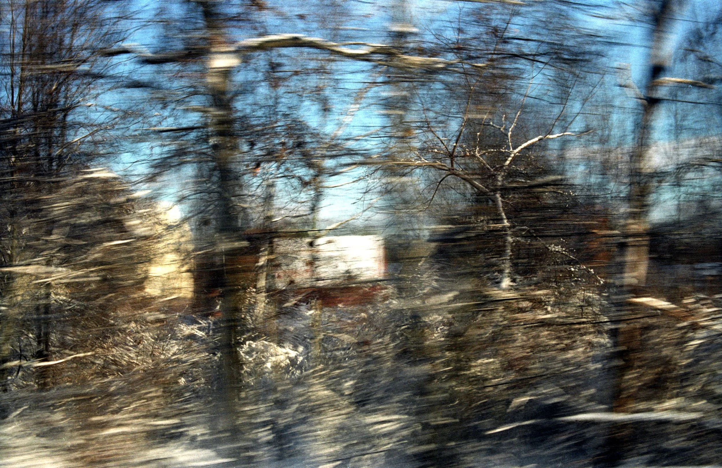 Forest Snow From Train 3