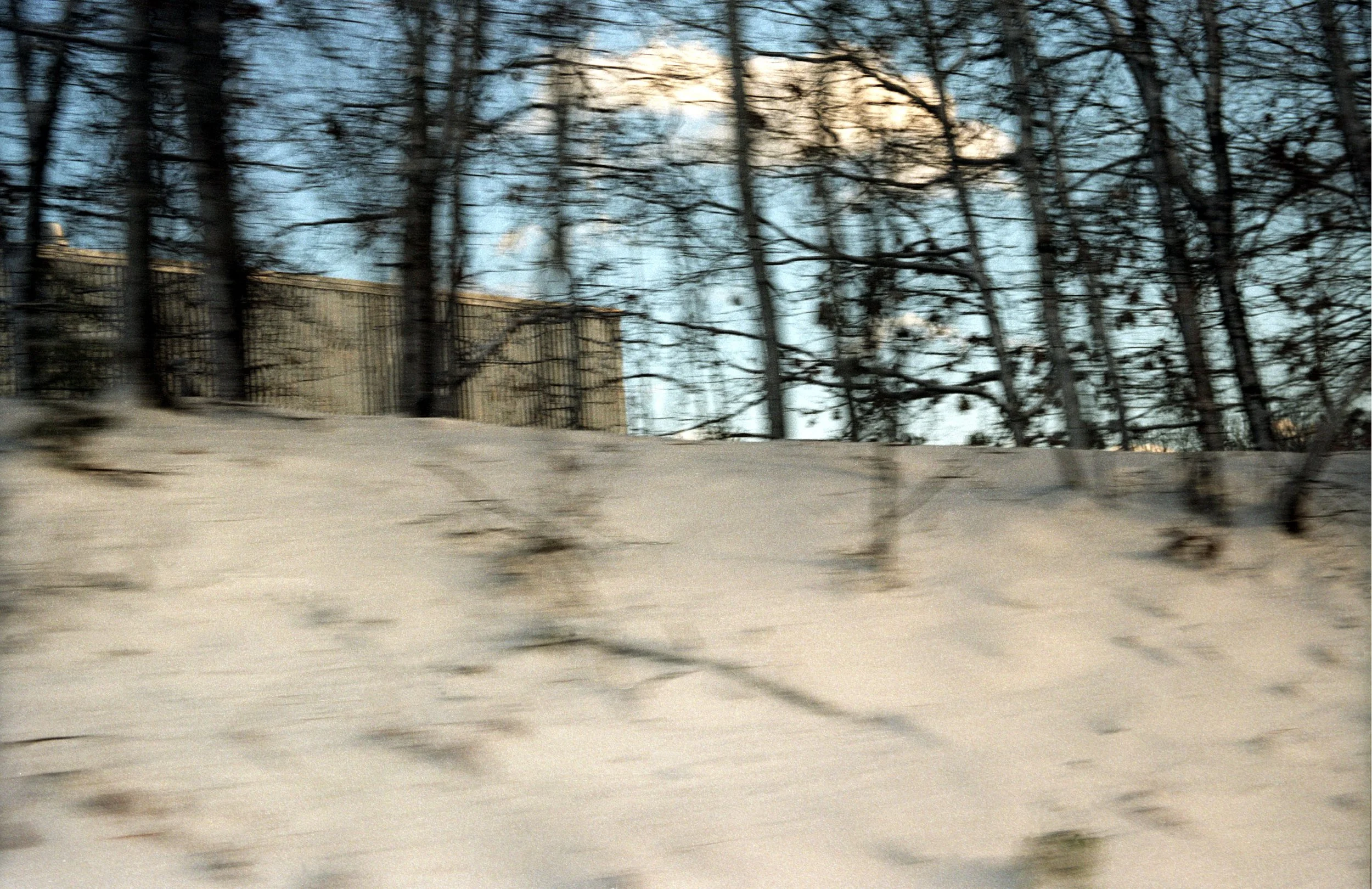 Forest Snow From Train 10