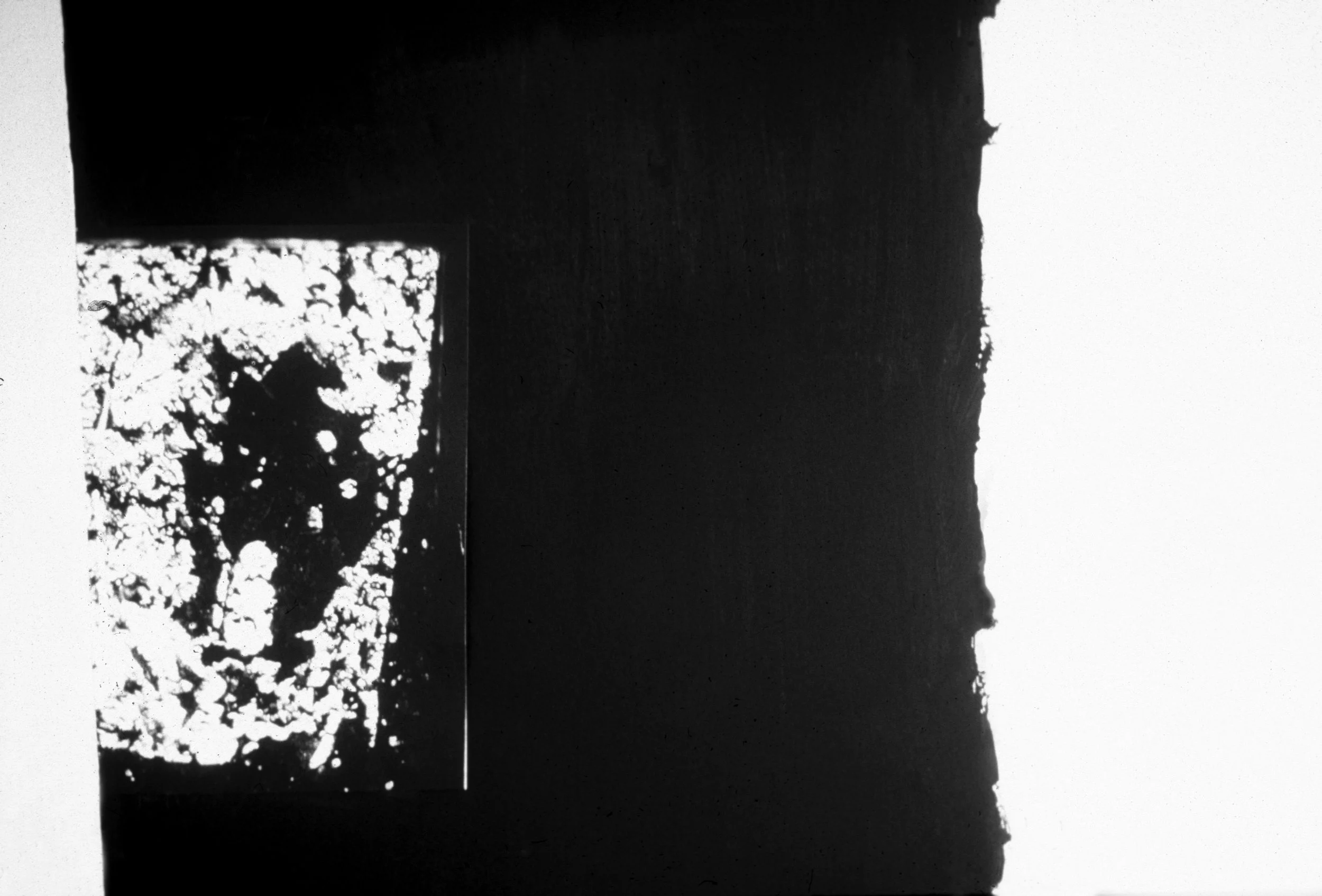 Loeb Installation - Detail - Earth Tooth