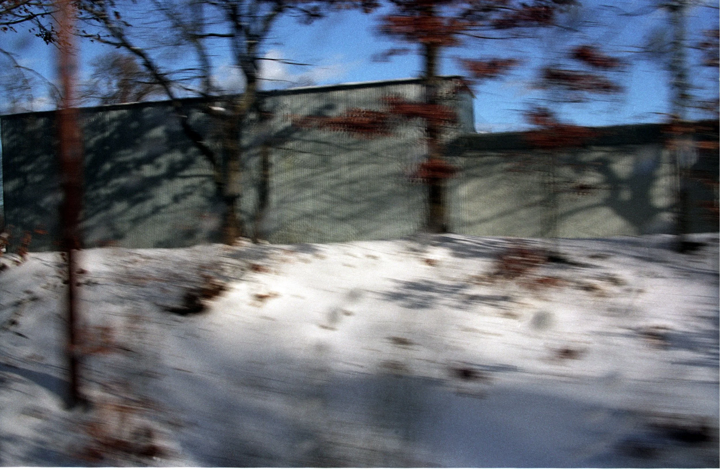 Forest Snow From Train 9