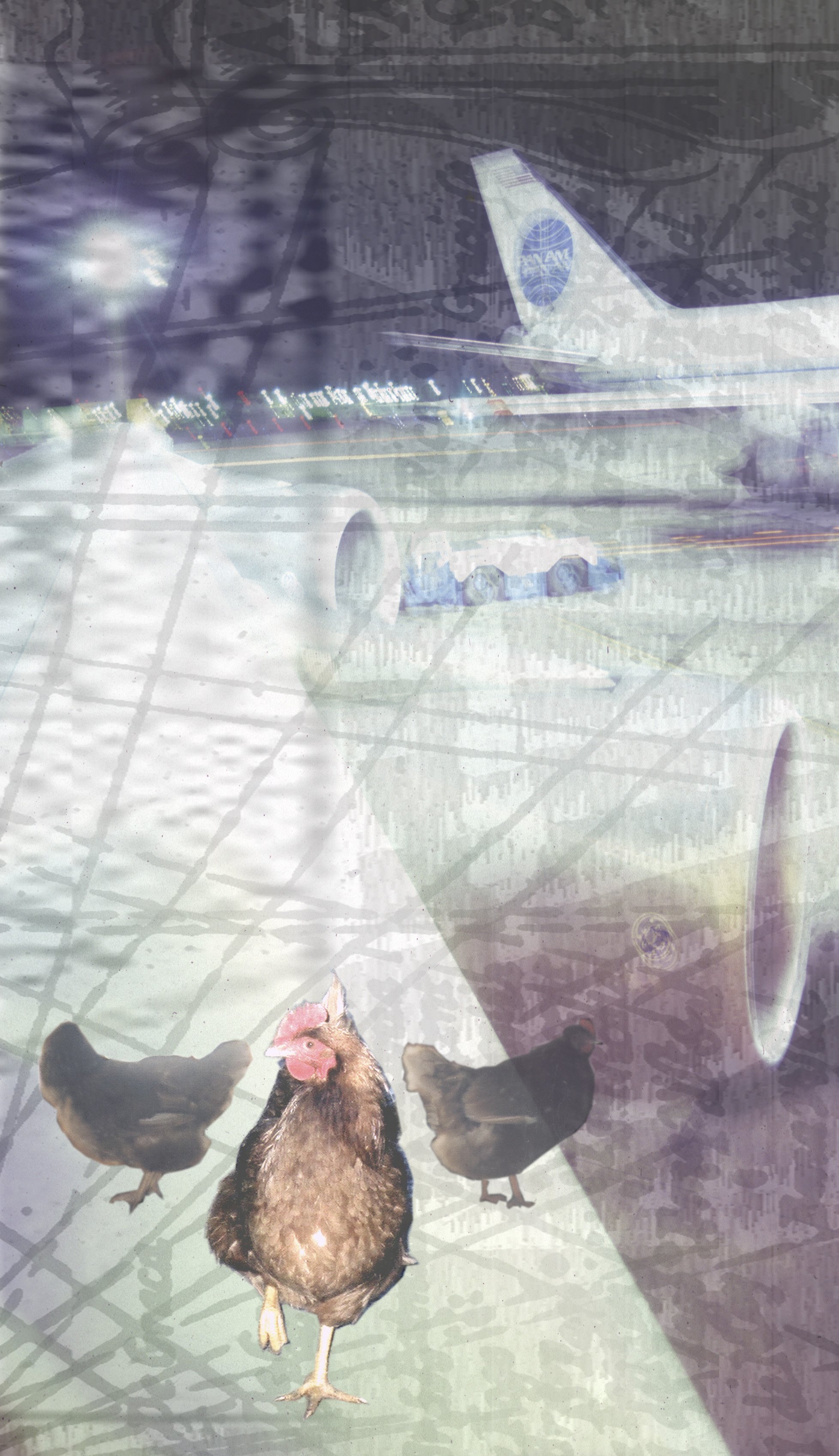 Chickens On The Tarmac