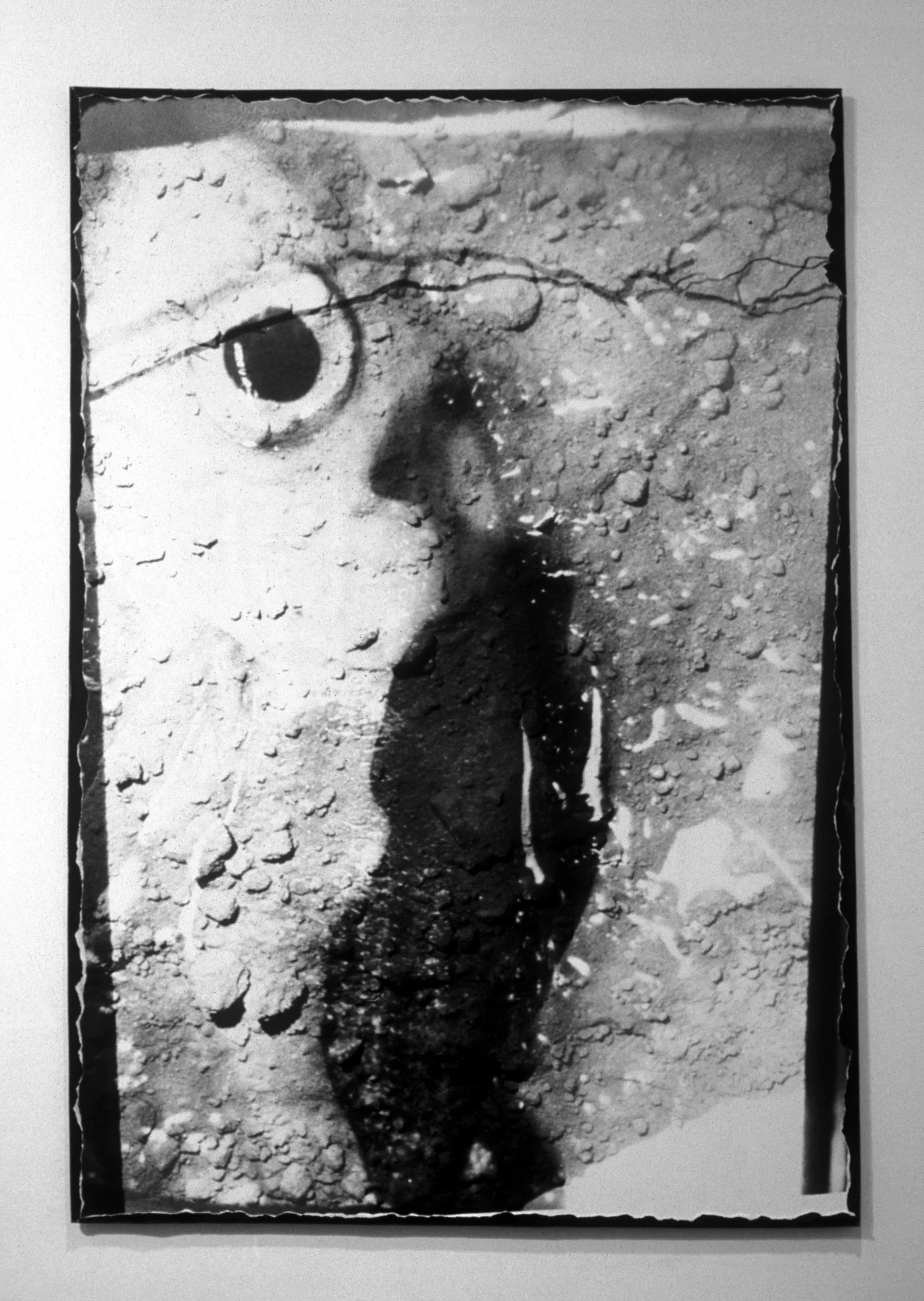 Loeb Installation - Detail - Fish Eye