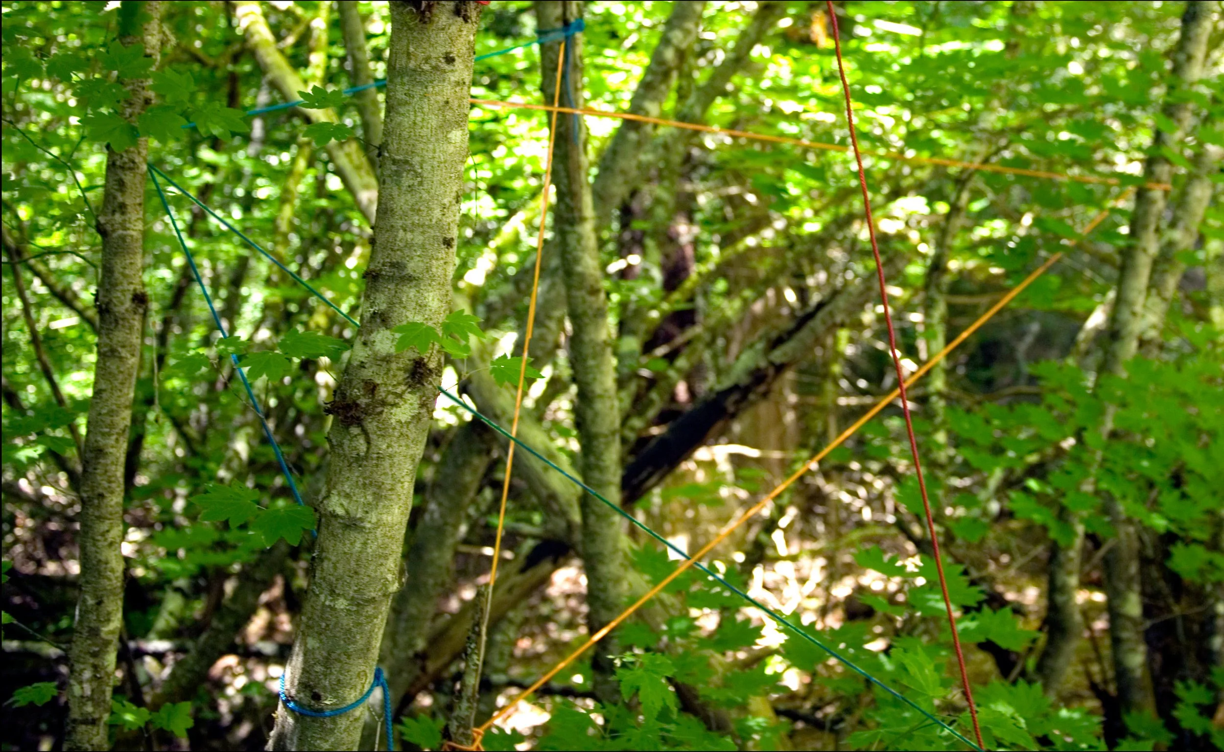 Fontainbleau Elephant Rope Star